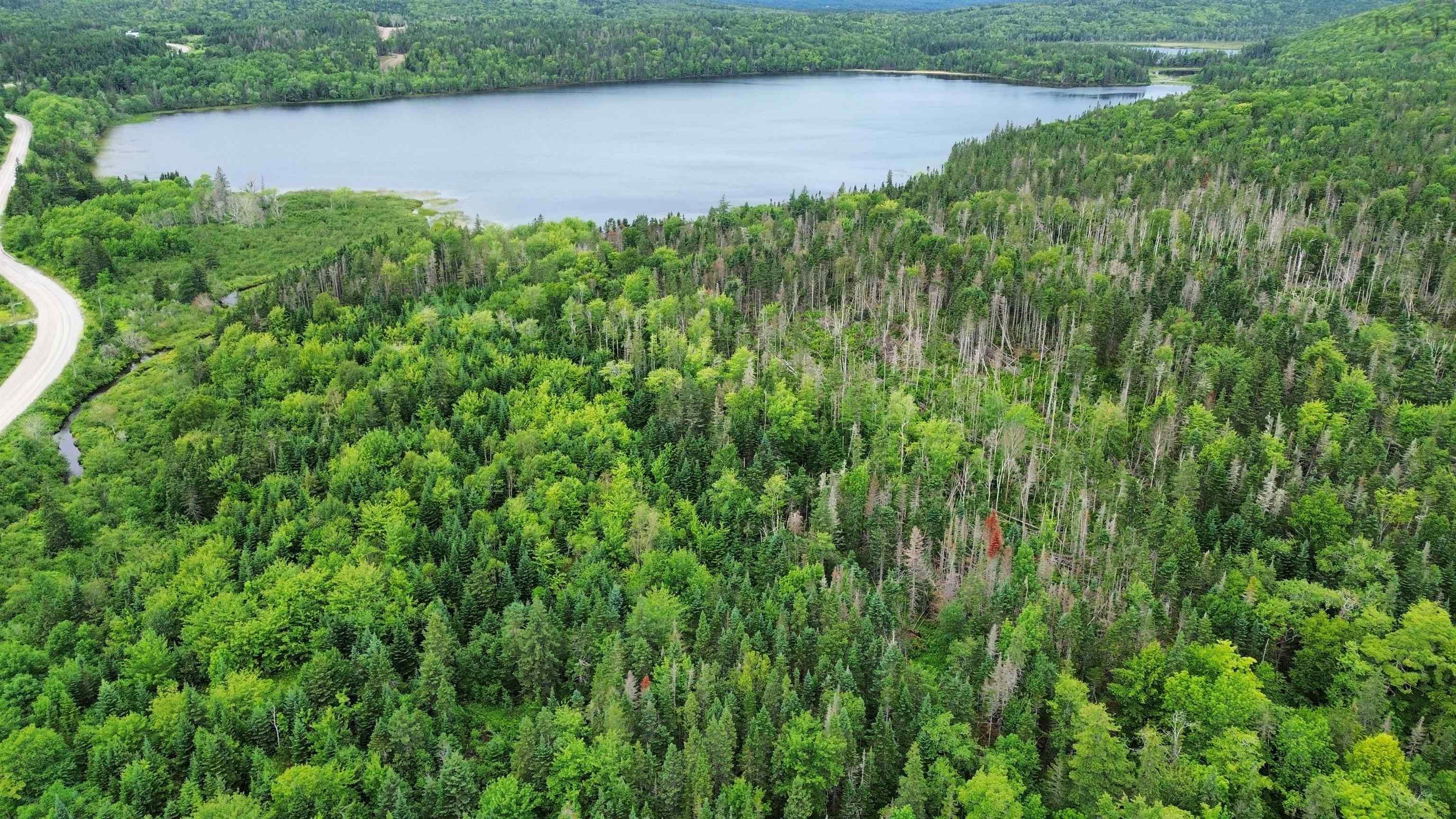 $60,000.00: 0 Gillis Lake Road, Gillis Lake