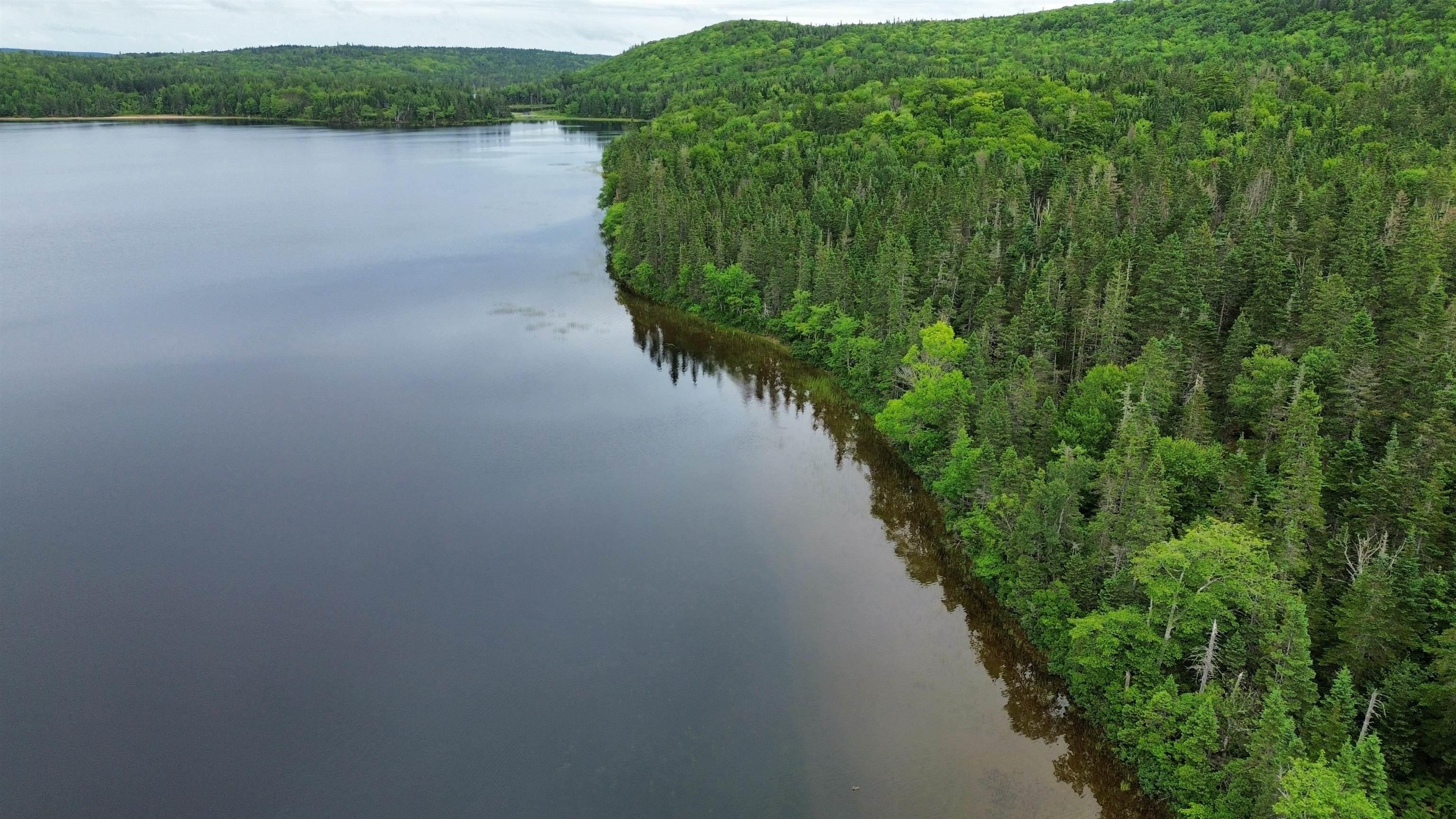 $60,000.00: 0 Gillis Lake Road, Gillis Lake
