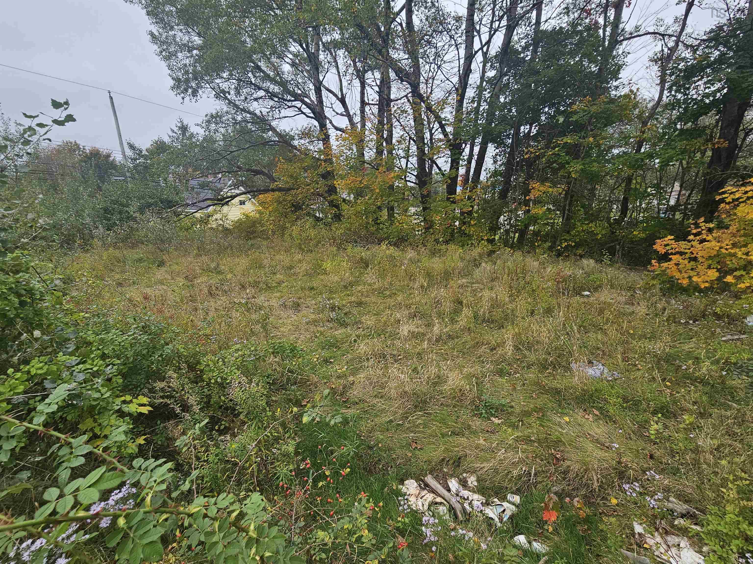 $69,500.00: 42 & 46 Church Street, Springhill