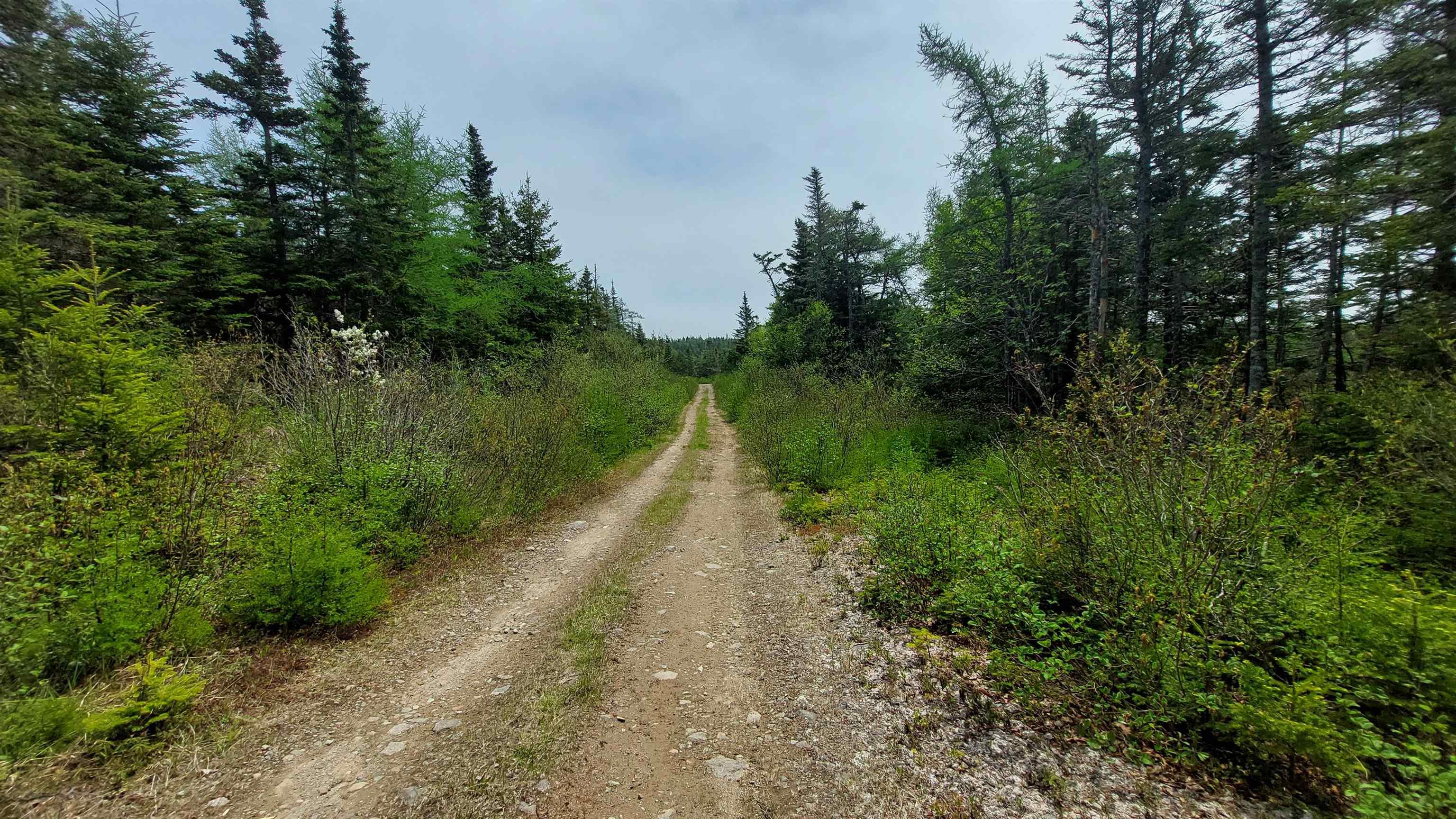 $249,000.00: 226 acre Mackenzie Lake Rd, Framboise