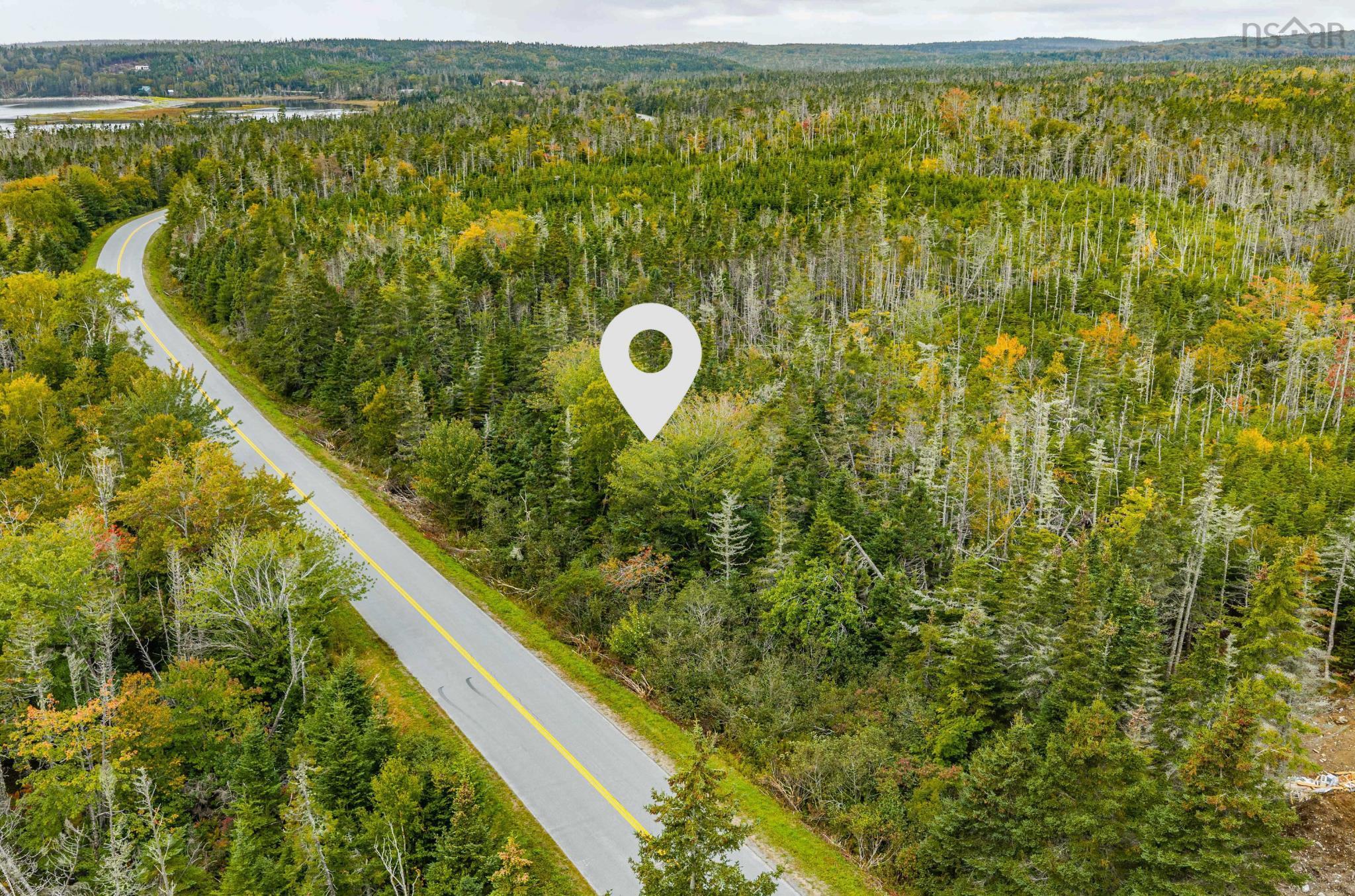 Lot 1 No 725 Highway, Debaies Cove, NS (MLS® 202625221)
