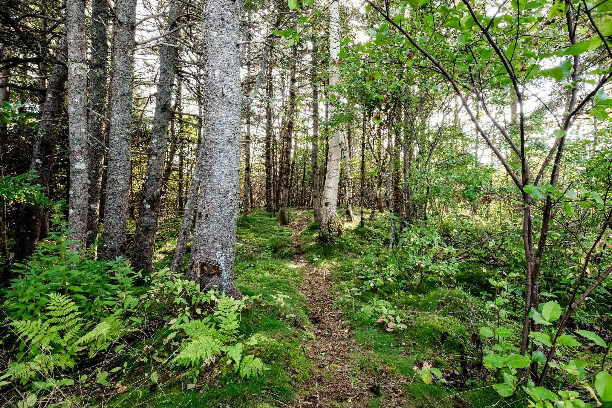 21 Nancy Lane, Lawrencetown, NS (MLS 202625228)
