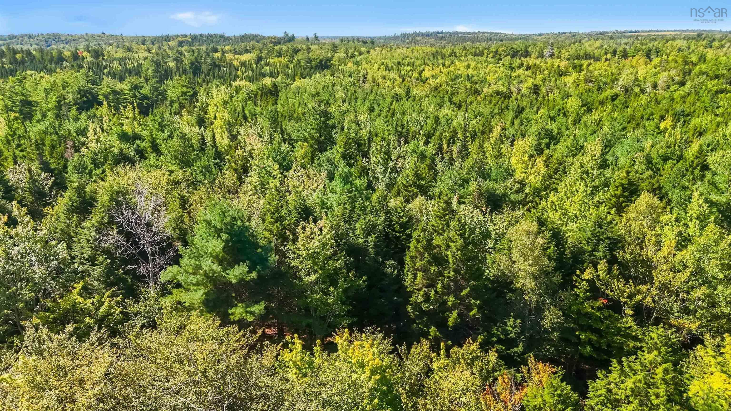 103 Arenburg Road, Buckfield, NS (MLS® 202625248)