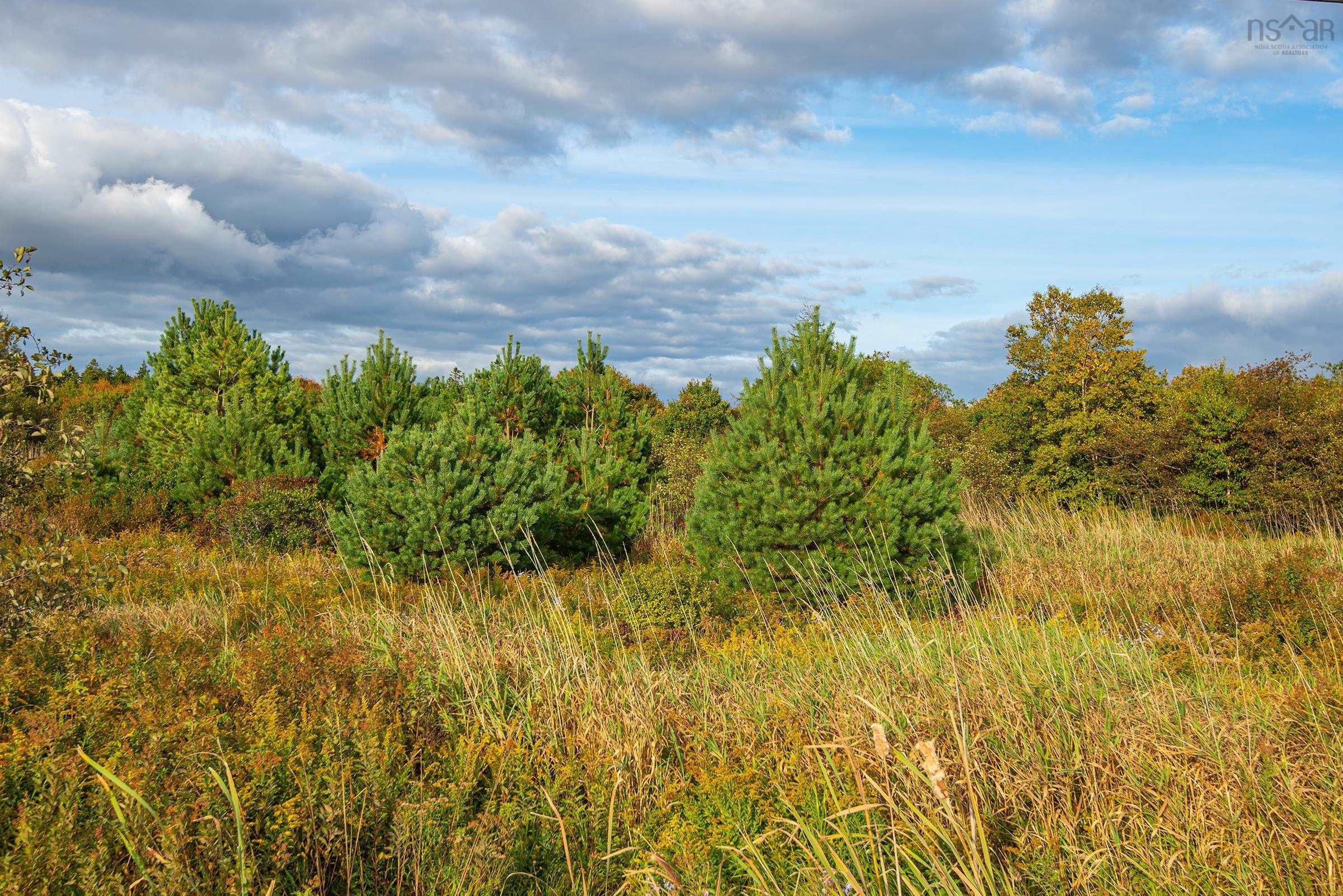 $22,000.00: Lot Eustache Comeau Road, Lower Saulnierville