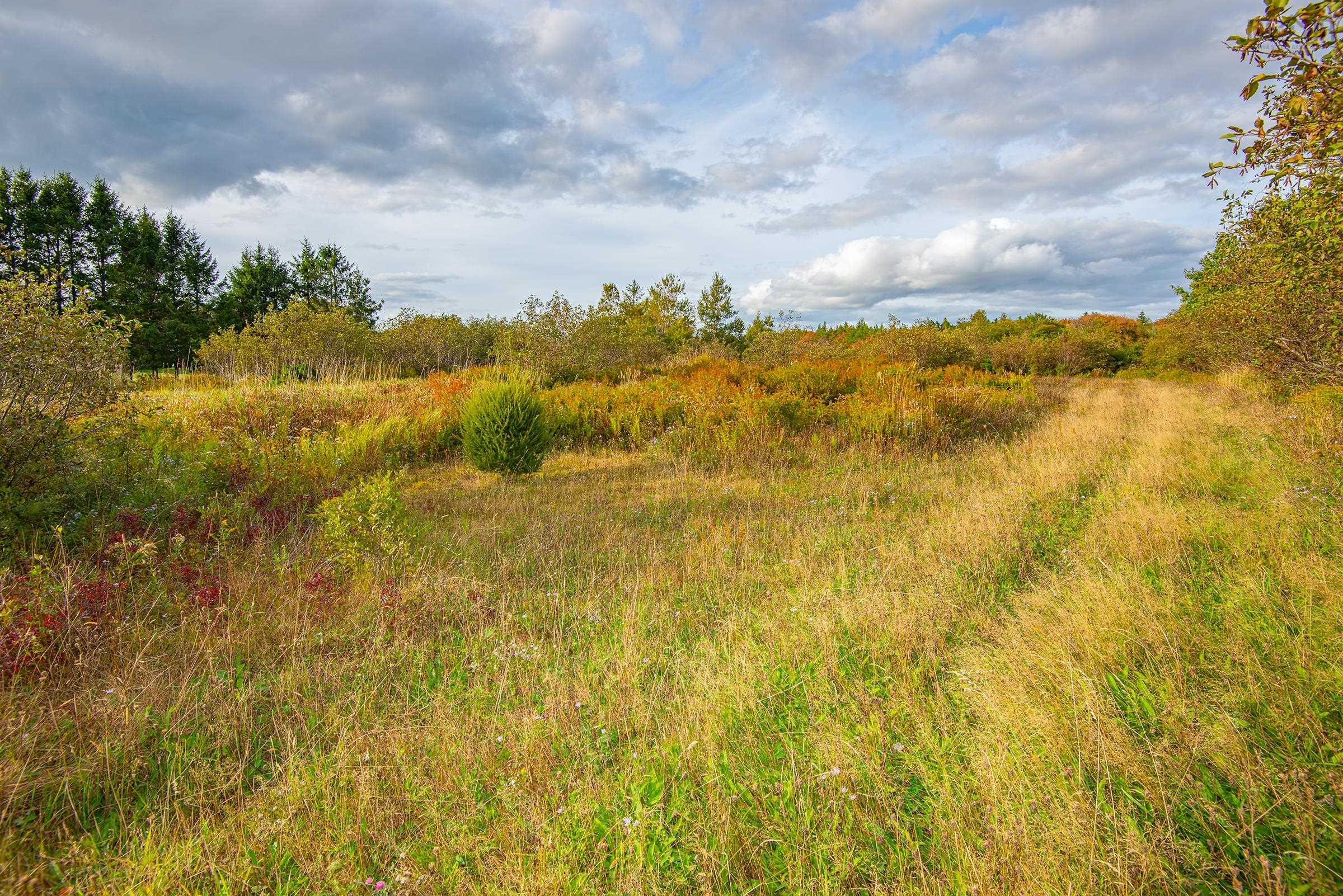 $22,000.00: Lot Eustache Comeau Road, Lower Saulnierville