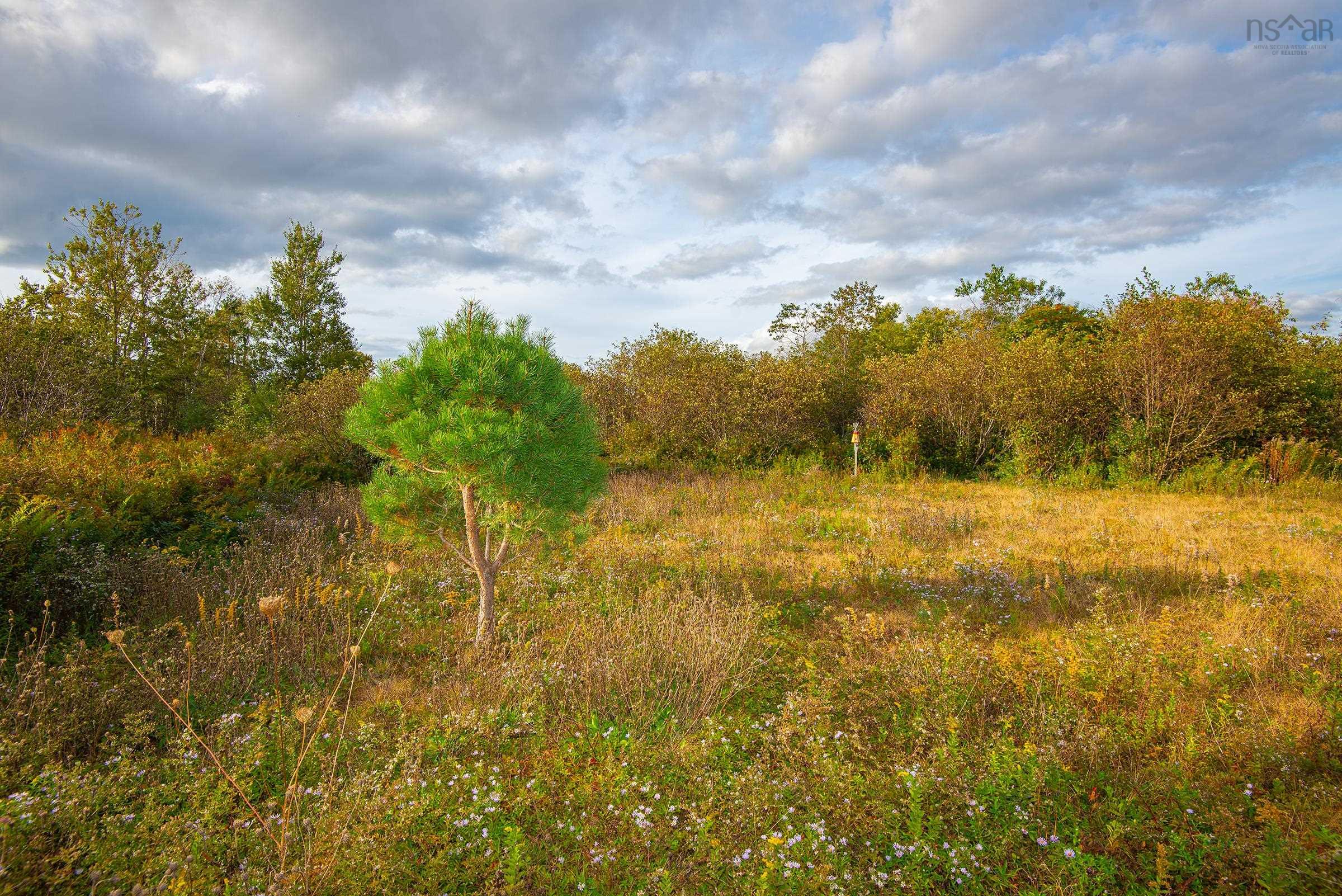 $22,000.00: Lot Eustache Comeau Road, Lower Saulnierville