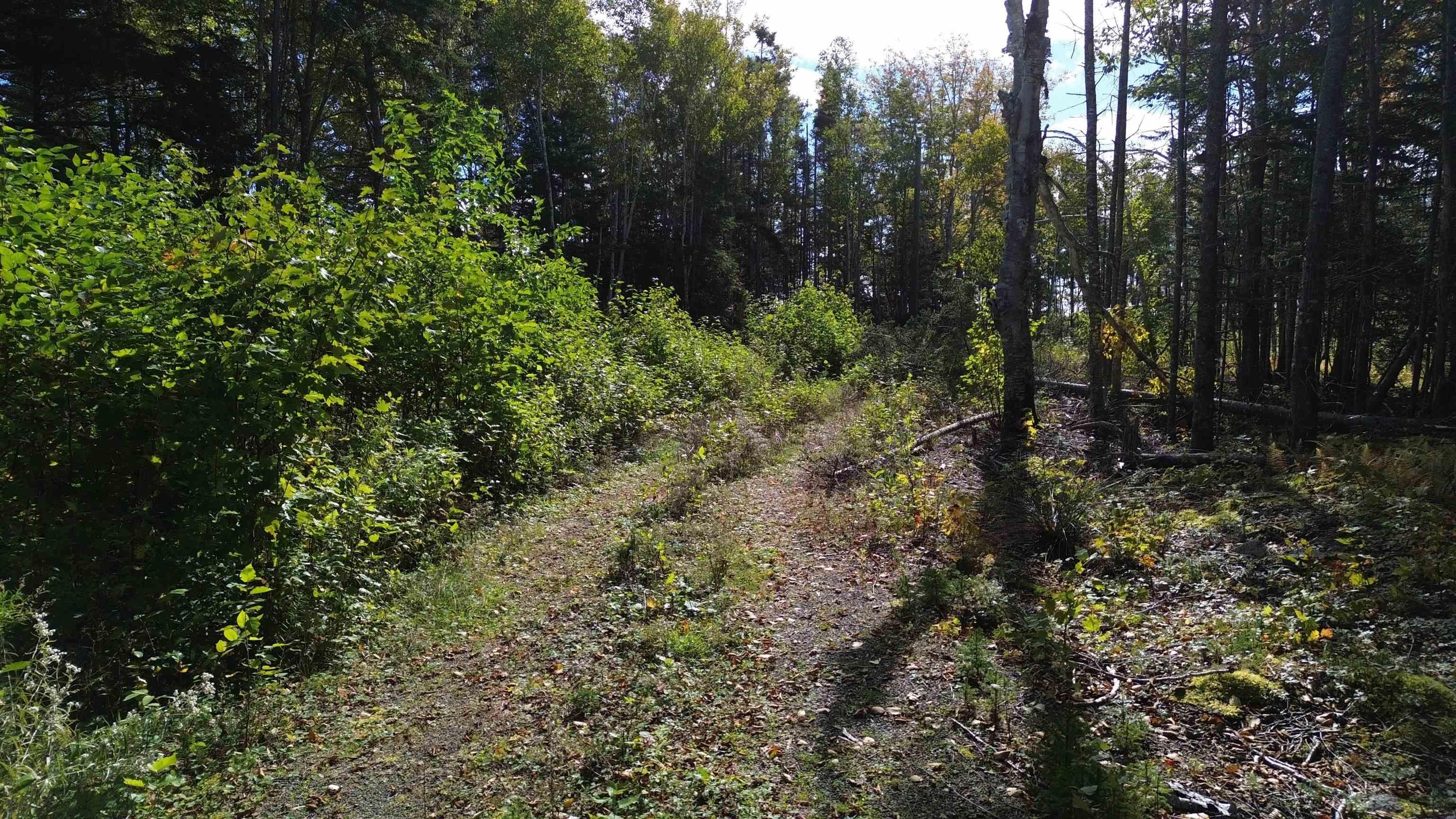 $175,000.00: Marble Mountain Road, Big Harbour