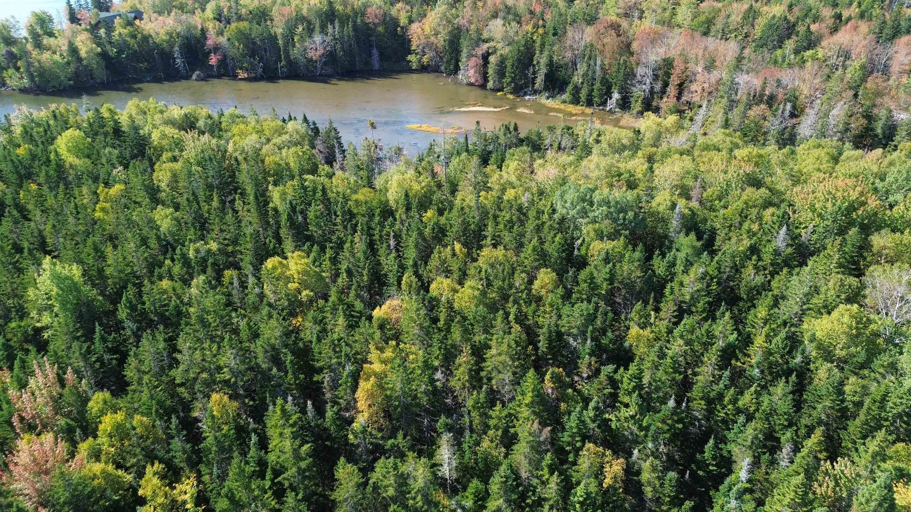 $79,000.00: Marble Mountain Road, Big Harbour