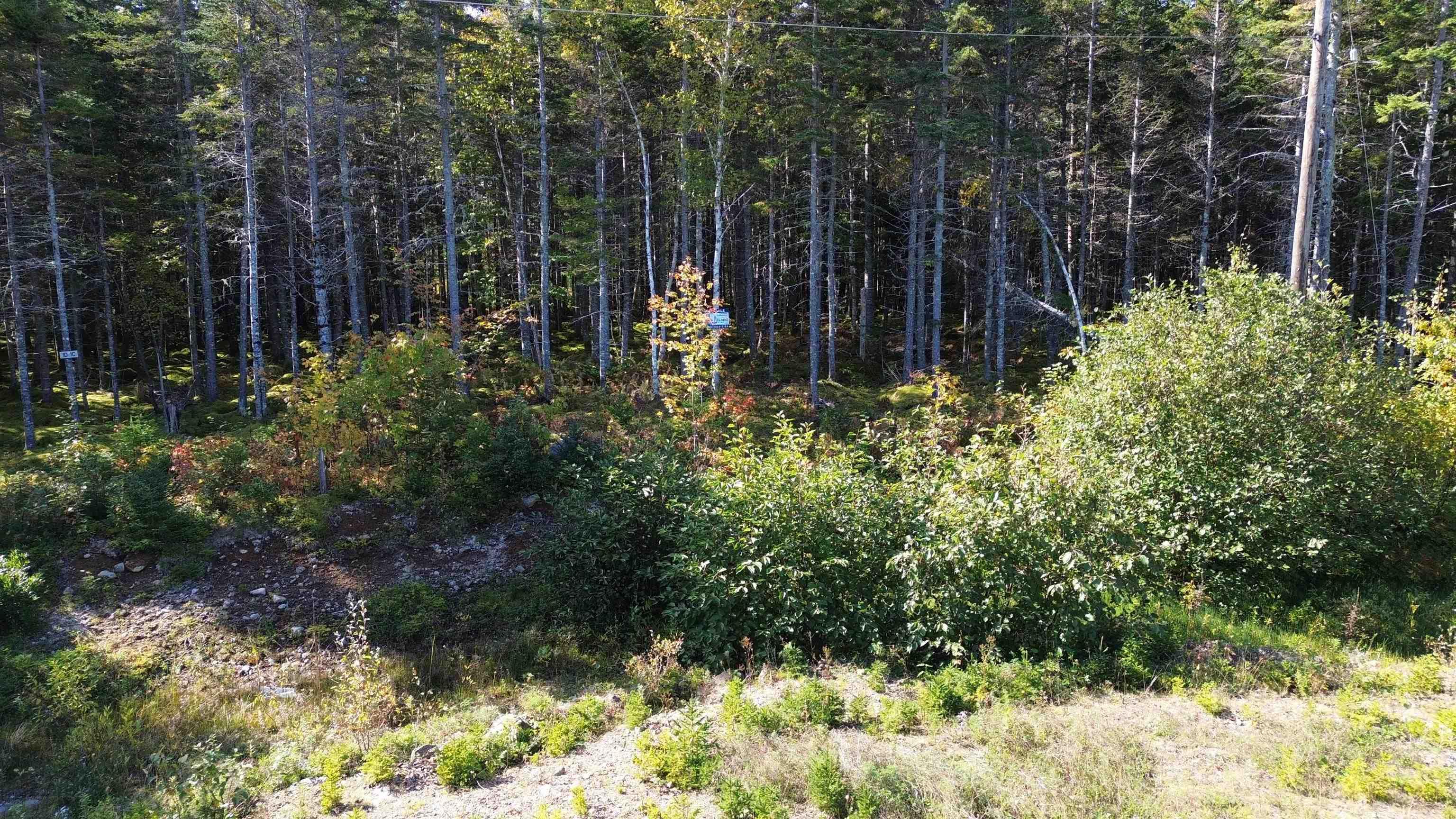 $79,000.00: Marble Mountain Road, Big Harbour