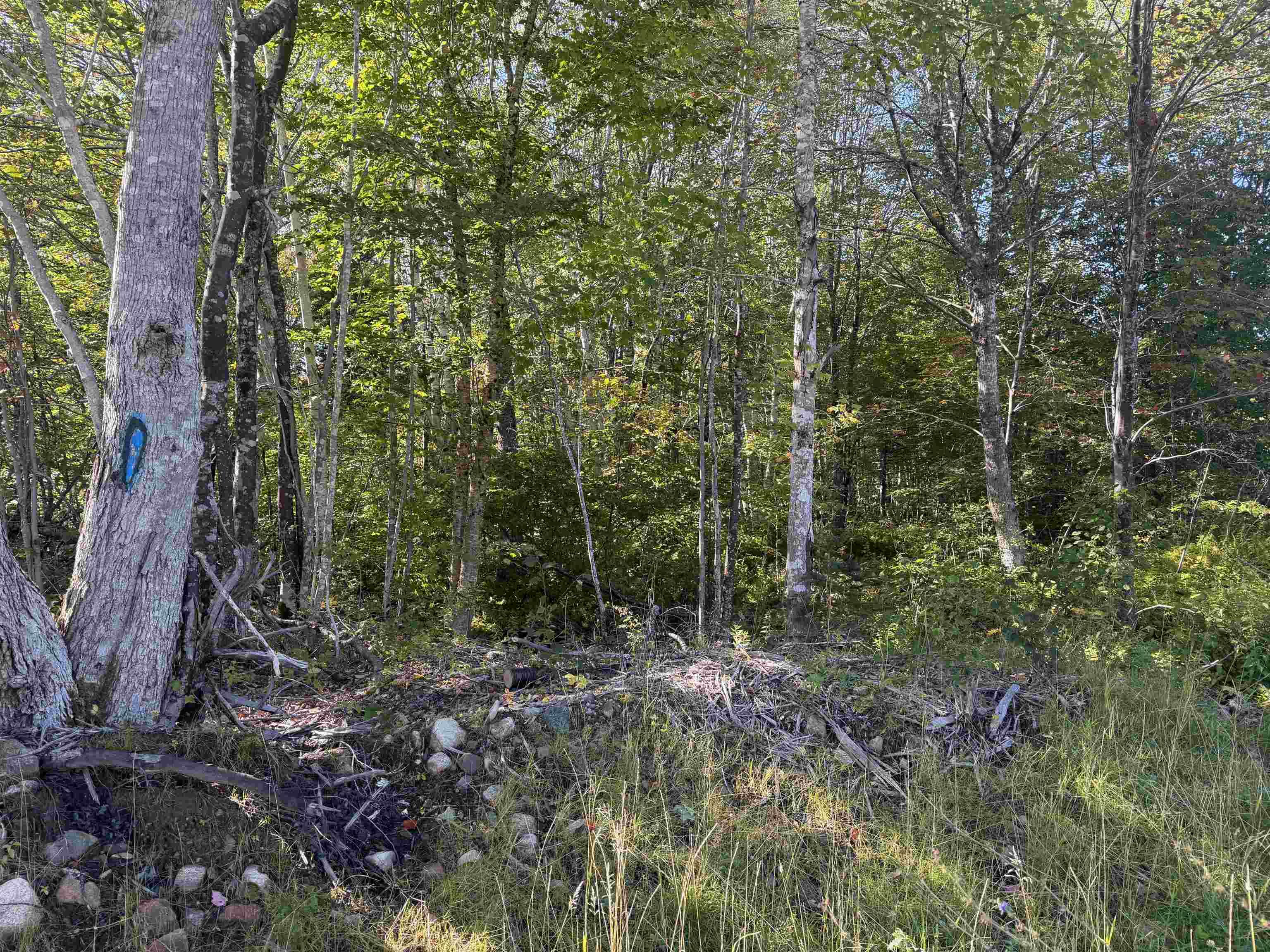 $59,000.00: Oregon Road, North River