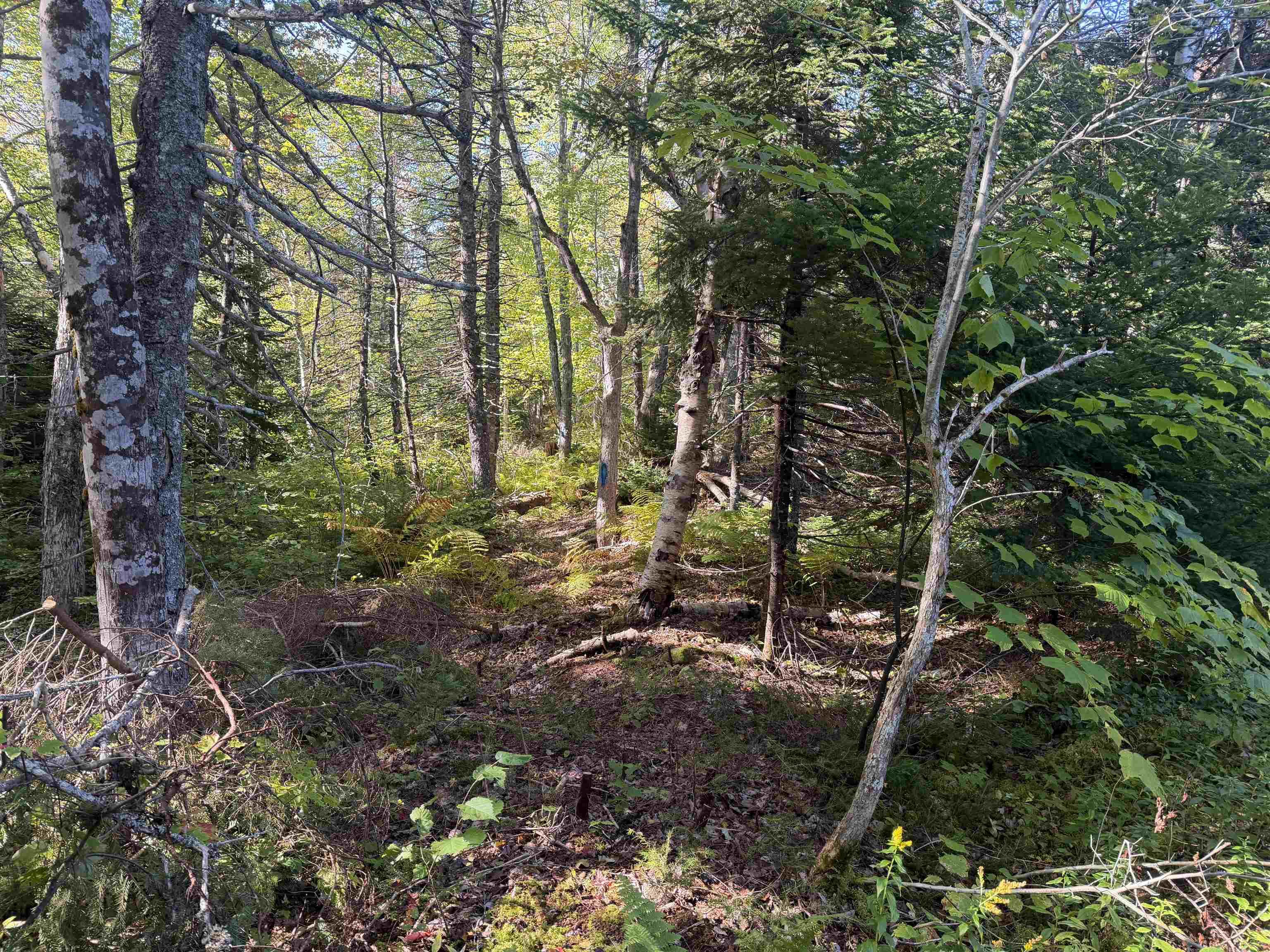 $59,000.00: Oregon Road, North River