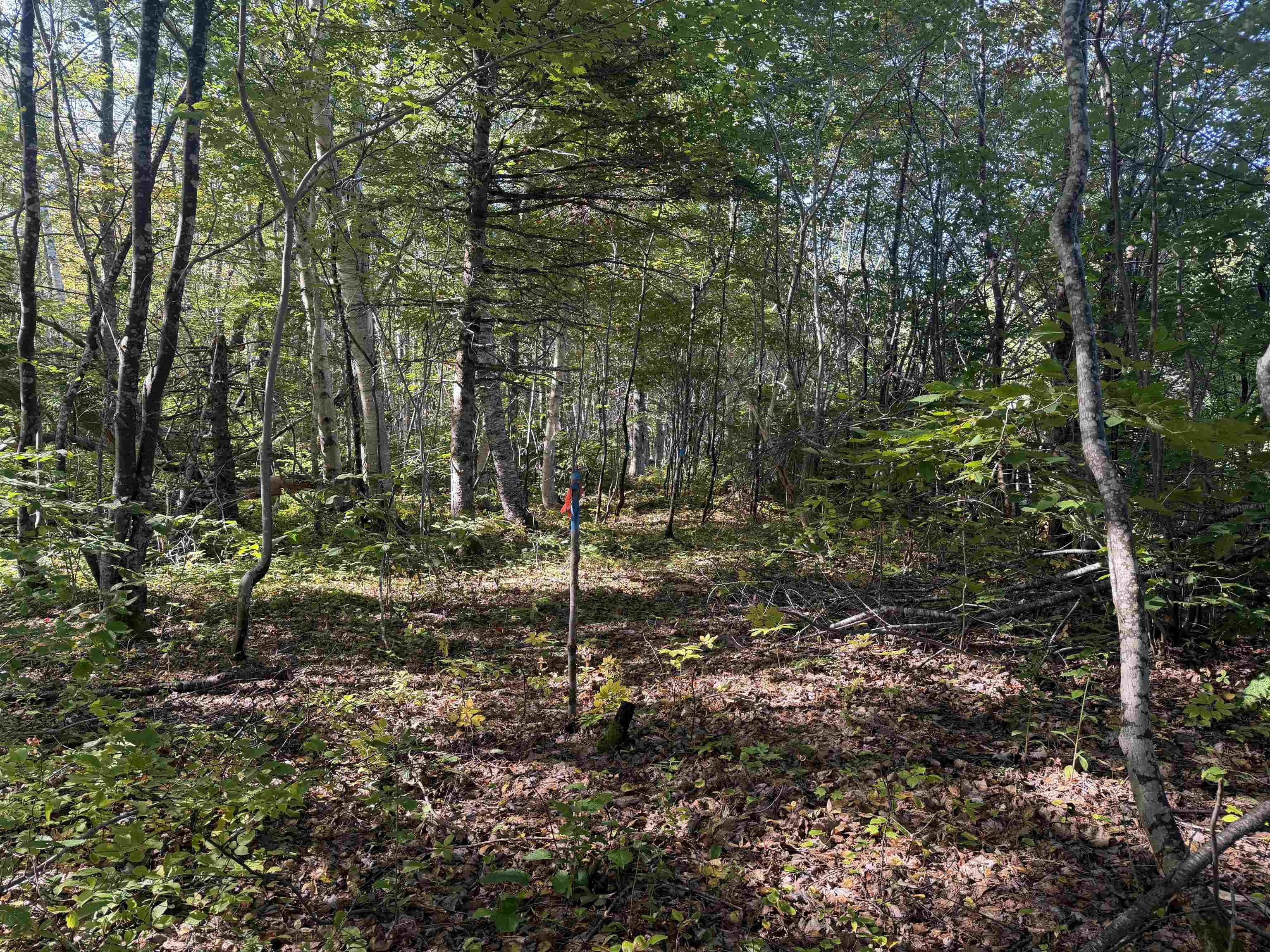 $59,000.00: Oregon Road, North River