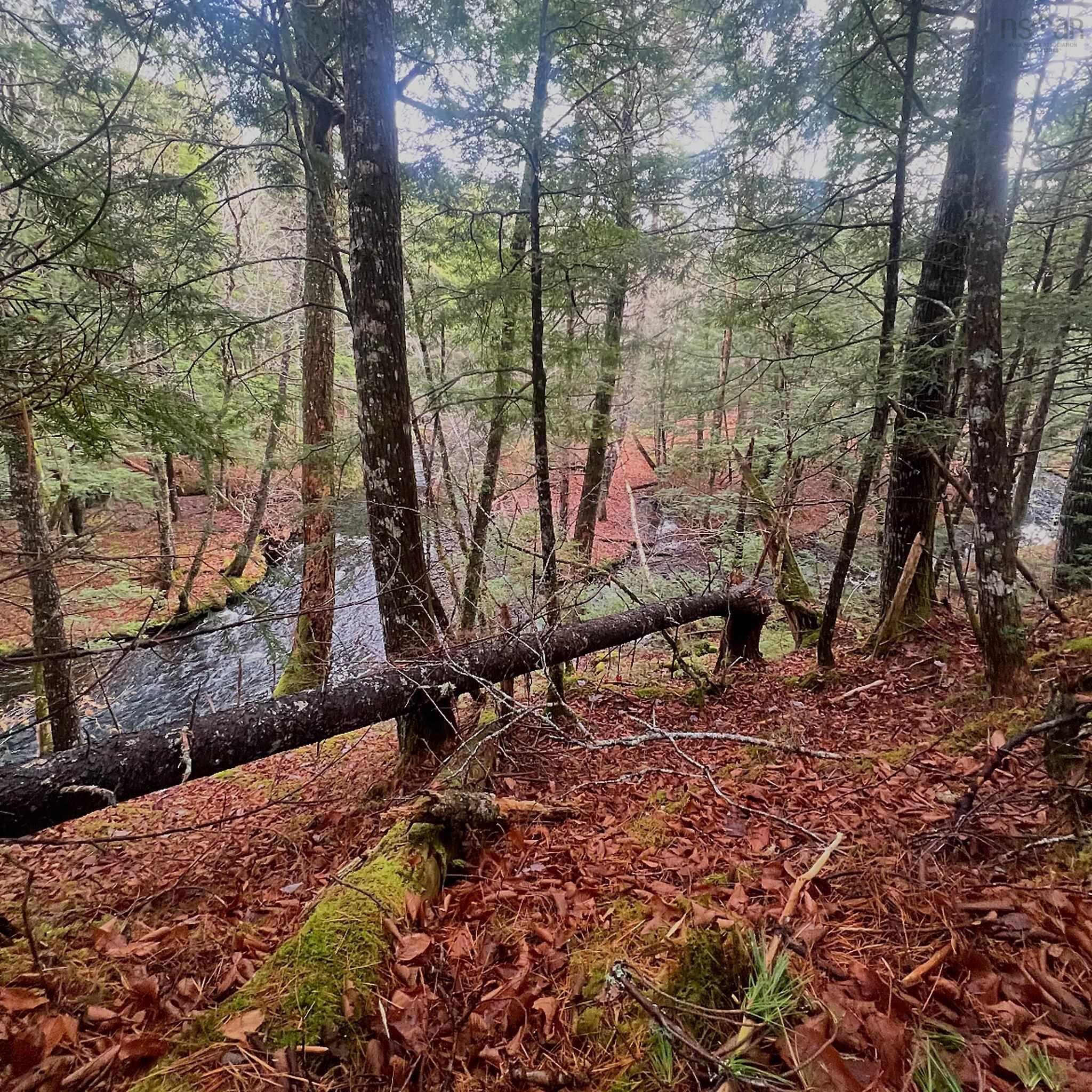 $68,000.00: Old Route 5, Big Bras d