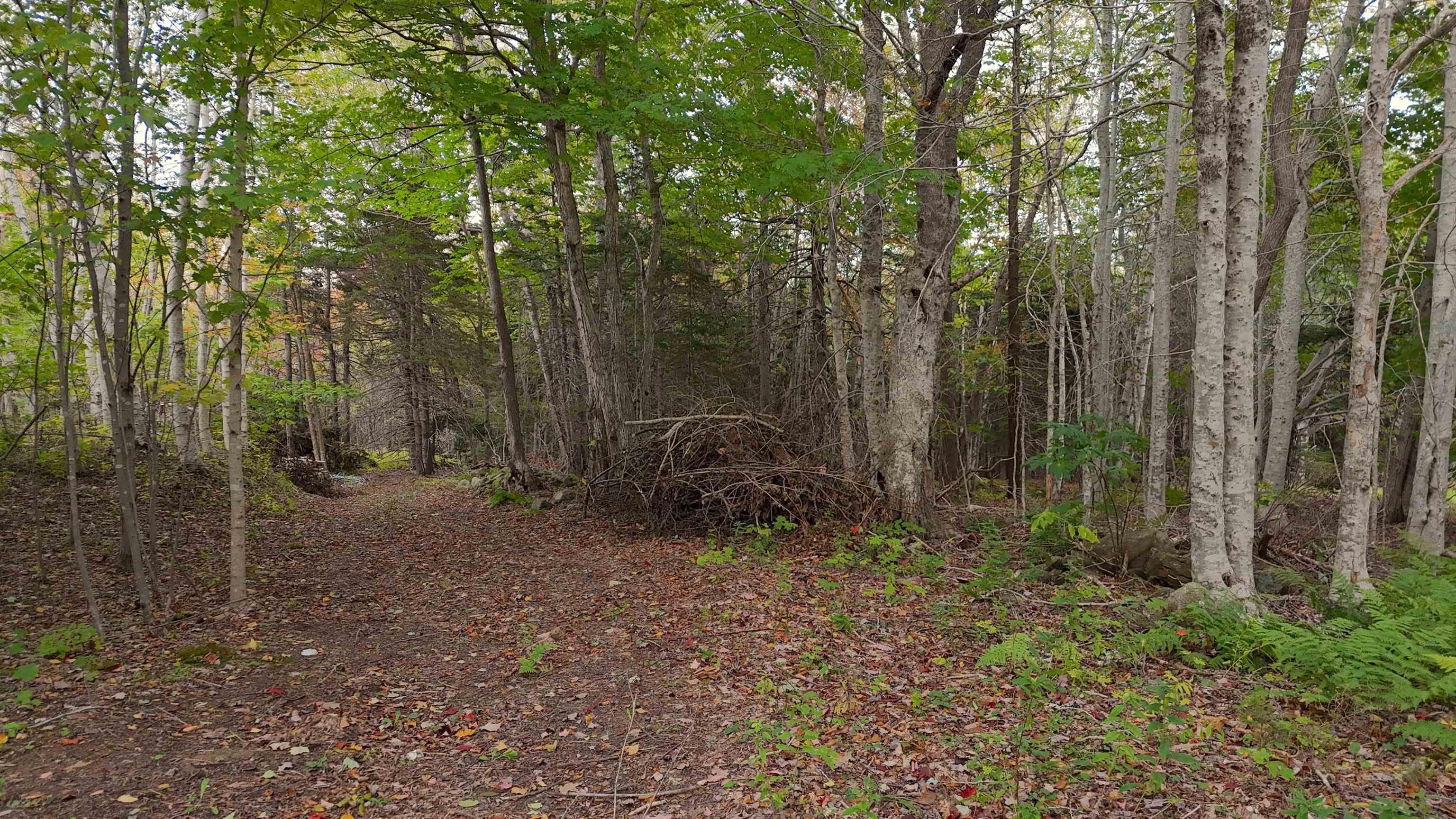 $68,000.00: Old Route 5, Big Bras d
