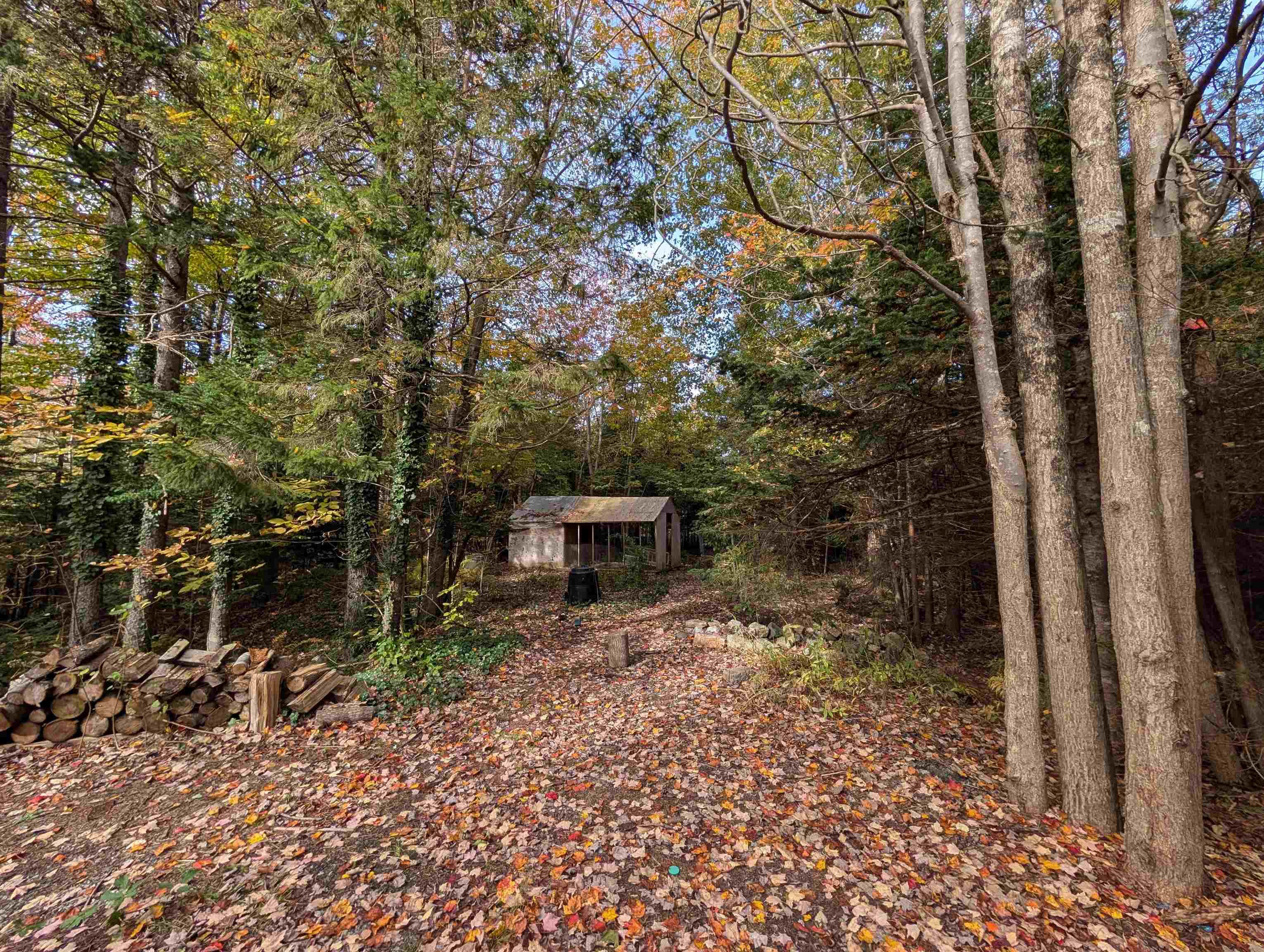 19 Foster Avenue, Fall River, NS (MLS® 202625937) — Wooded lot featuring mature trees, a detached structure with a pitched roof, and a natural stone border