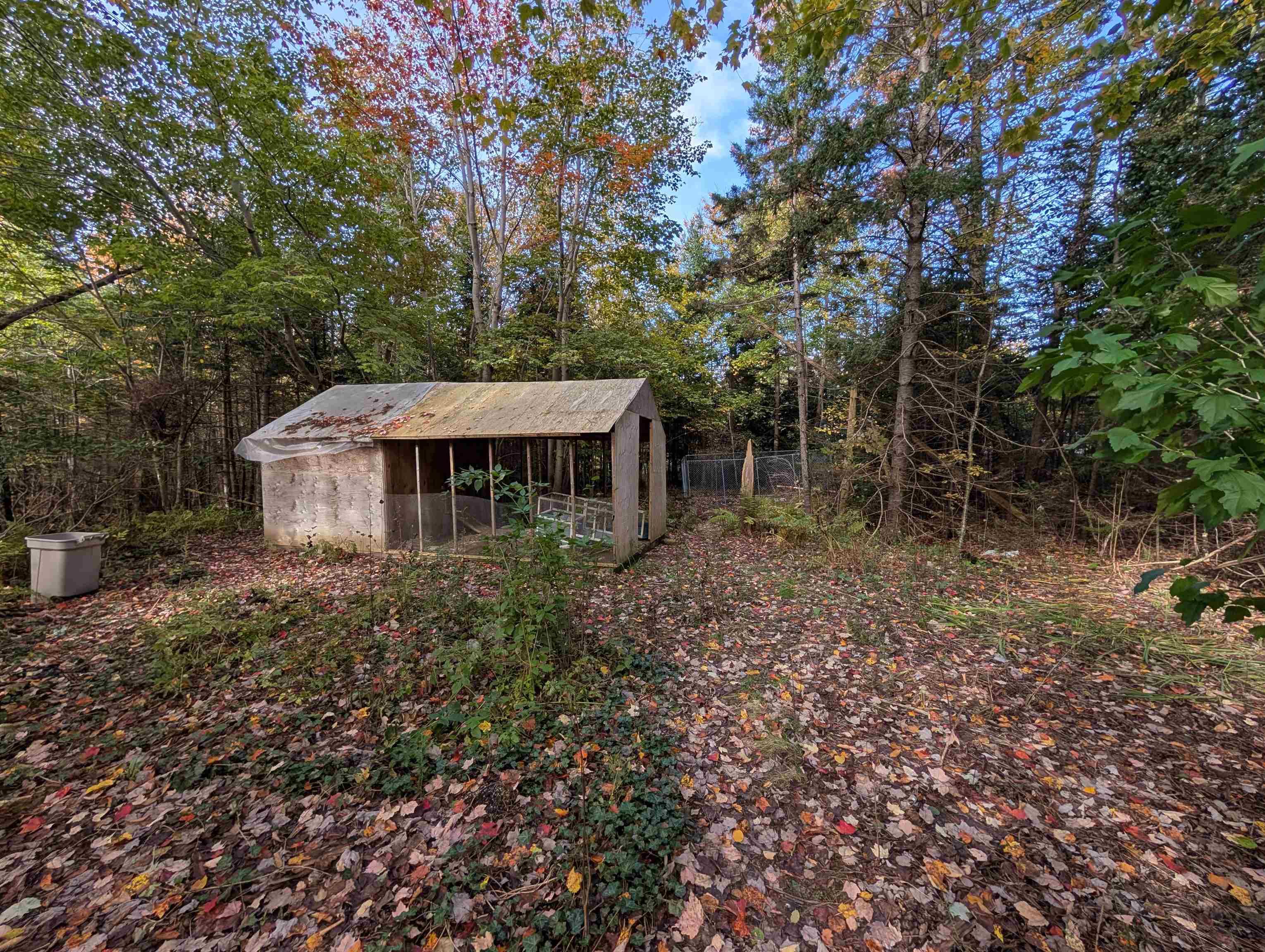 19 Foster Avenue, Fall River, NS (MLS® 202625937) — Wooded lot featuring an open-sided shelter with a metal roof and mature trees