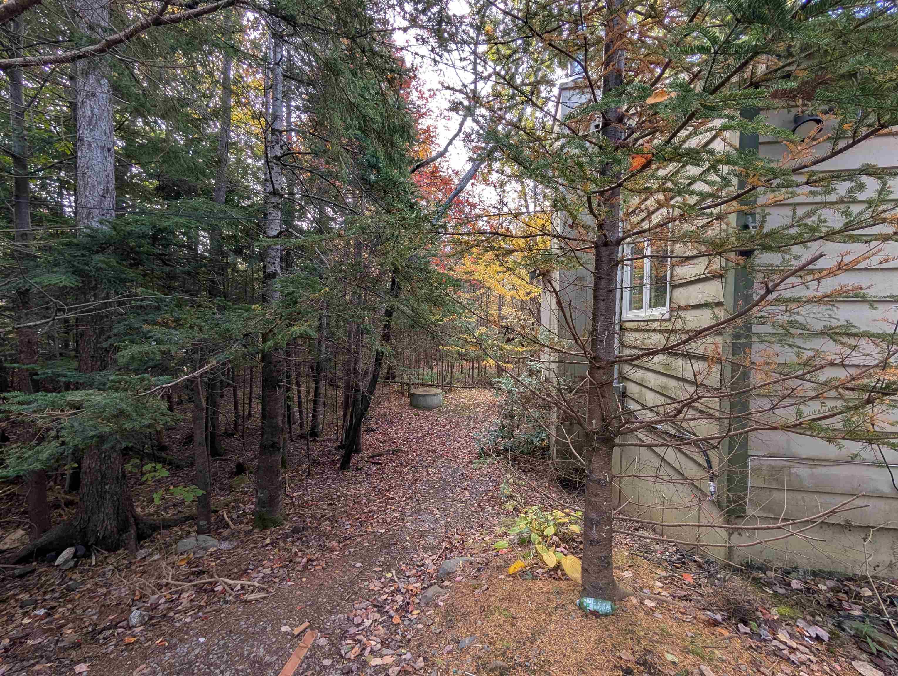 19 Foster Avenue, Fall River, NS (MLS® 202625937) — Wooded grounds featuring mature coniferous and deciduous trees and horizontal siding exterior