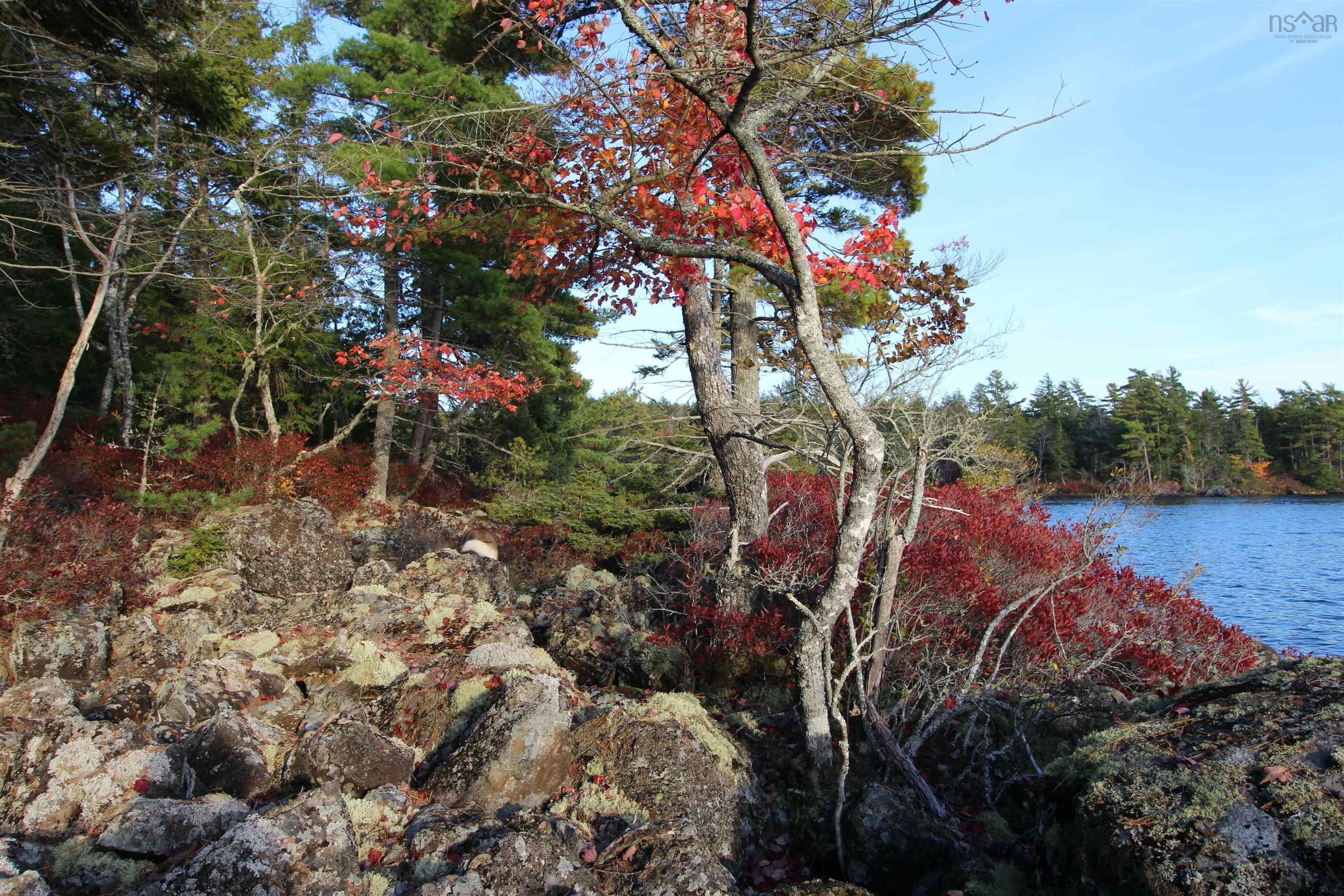 $65,000.00: Lot 62 Sand Cove Rd (Portion of), Westfield