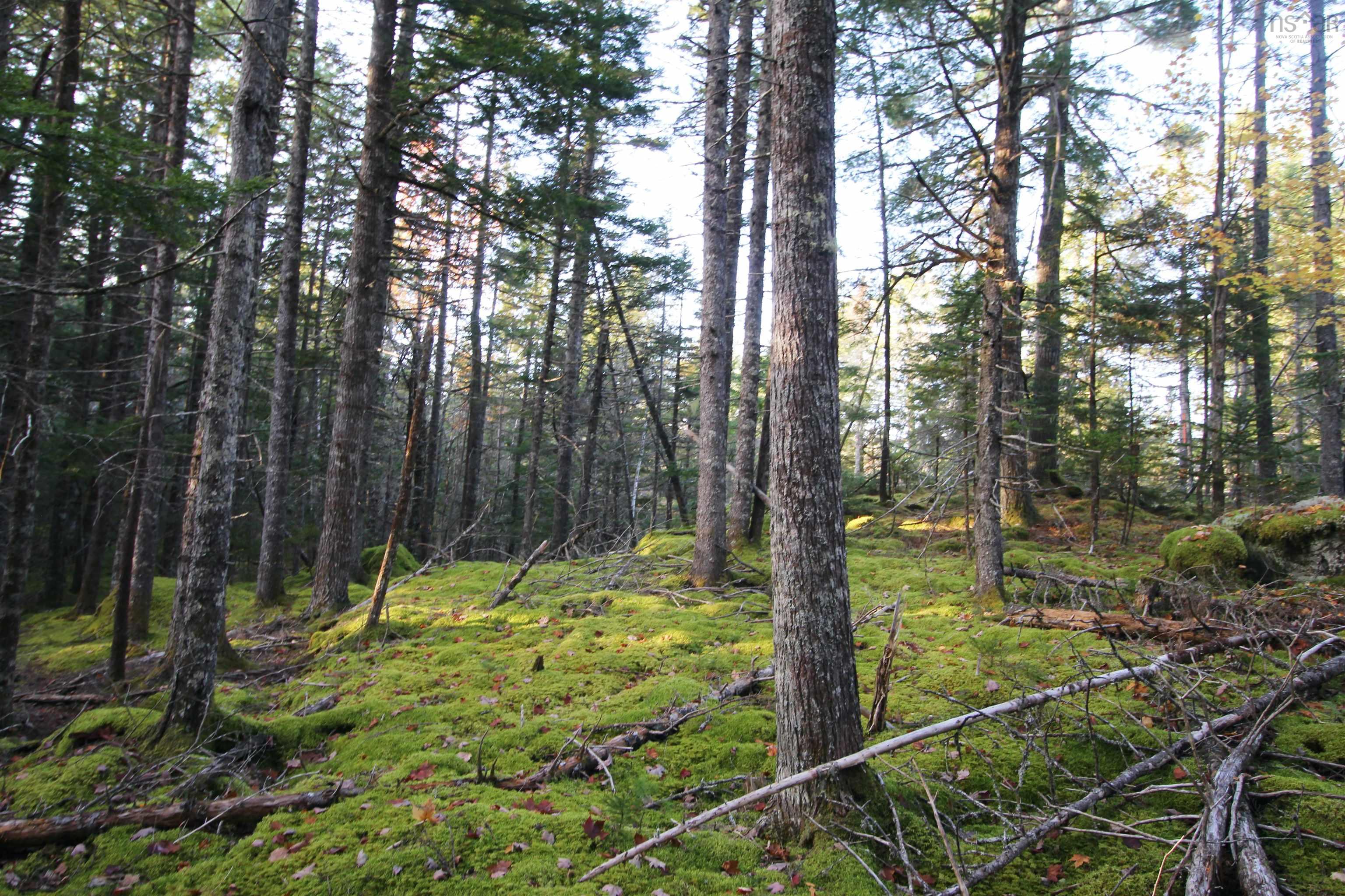 $65,000.00: Lot 62 Sand Cove Rd (Portion of), Westfield