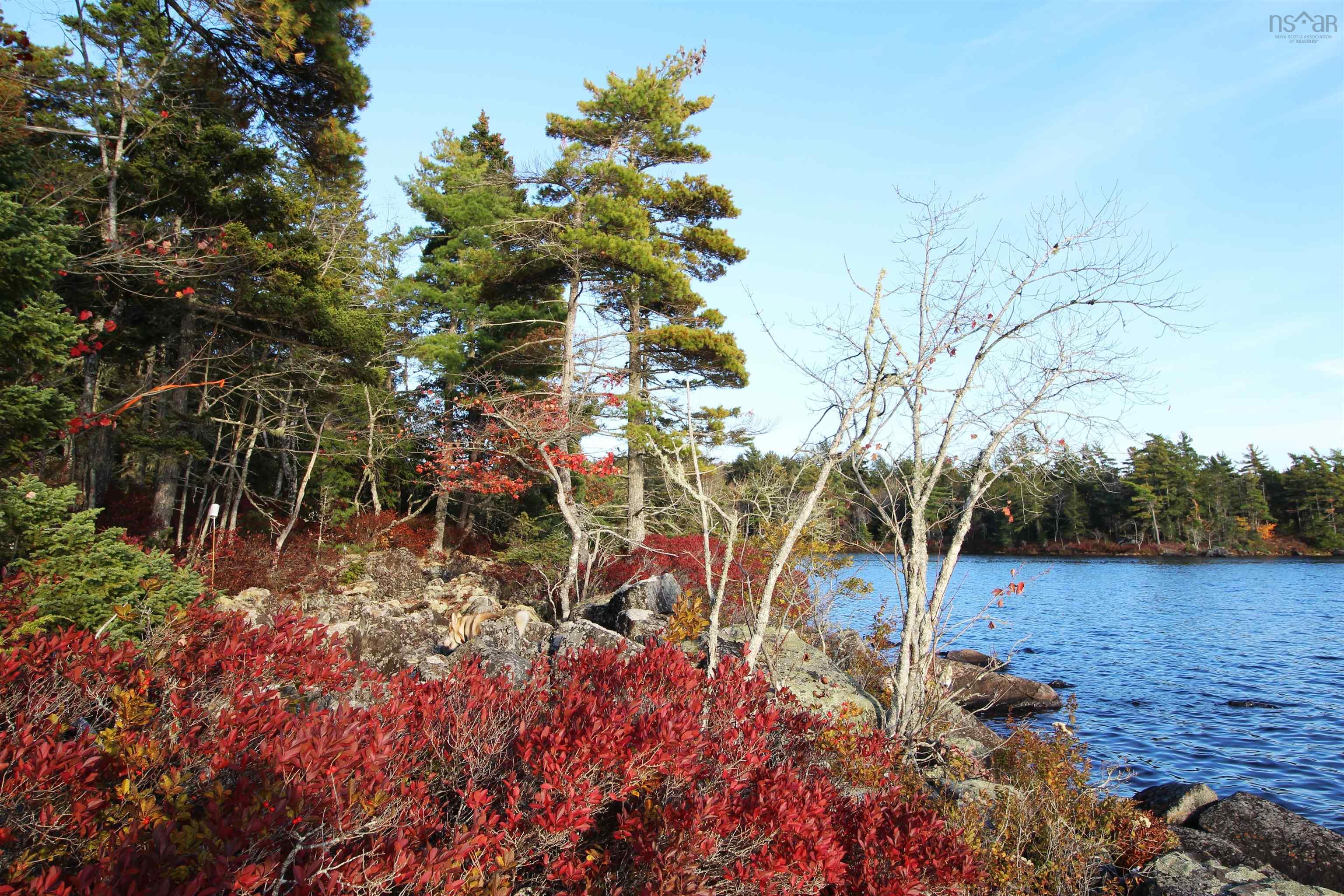 $65,000.00: Lot 62 Sand Cove Rd (Portion of), Westfield