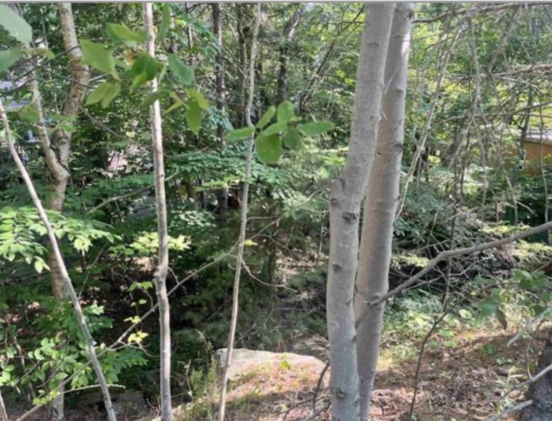 Lot C6c Purcells Cove Road, Halifax, NS (MLS® 202626015)