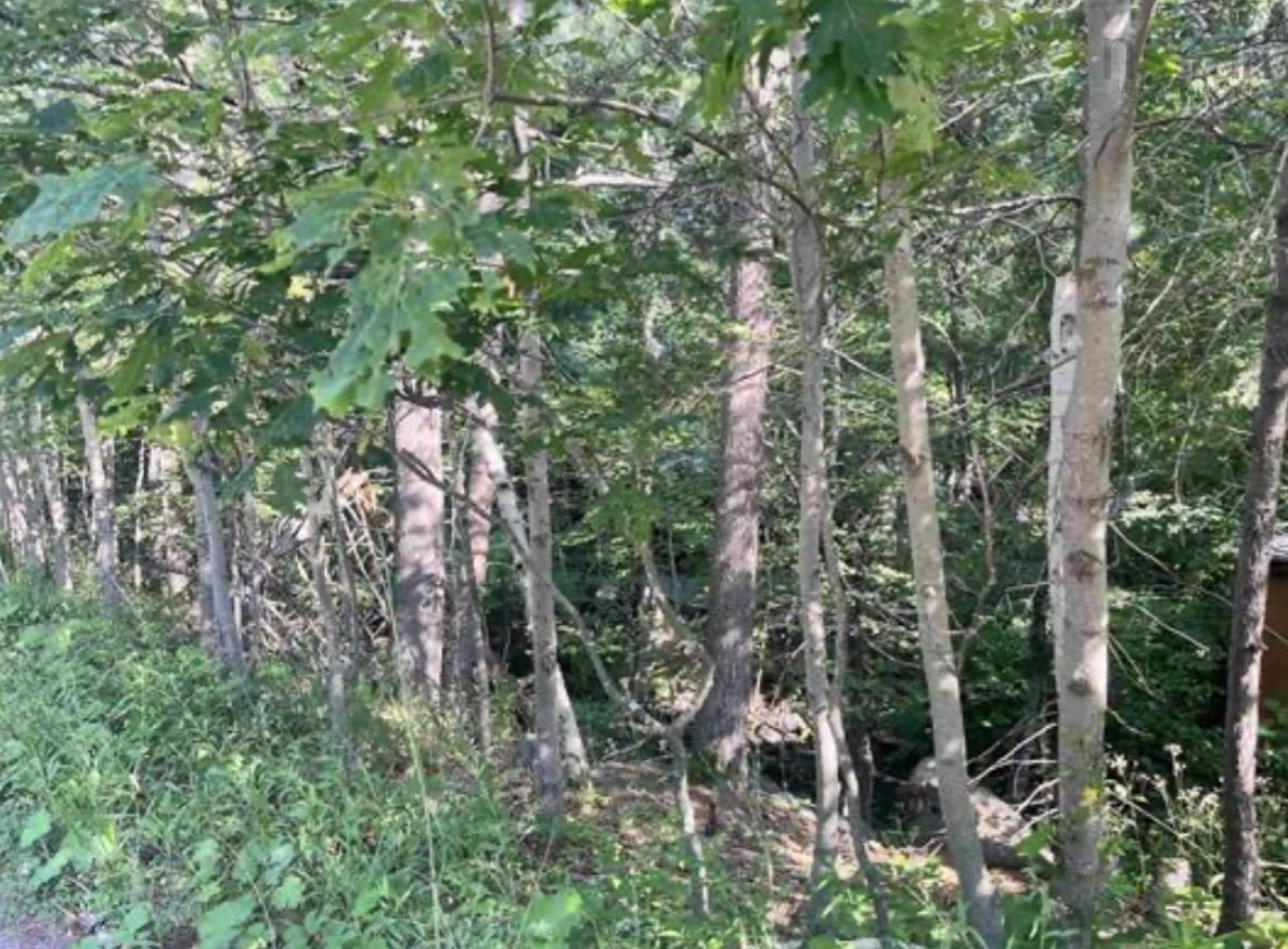 Lot C6c Purcells Cove Road, Halifax, NS (MLS® 202626015)