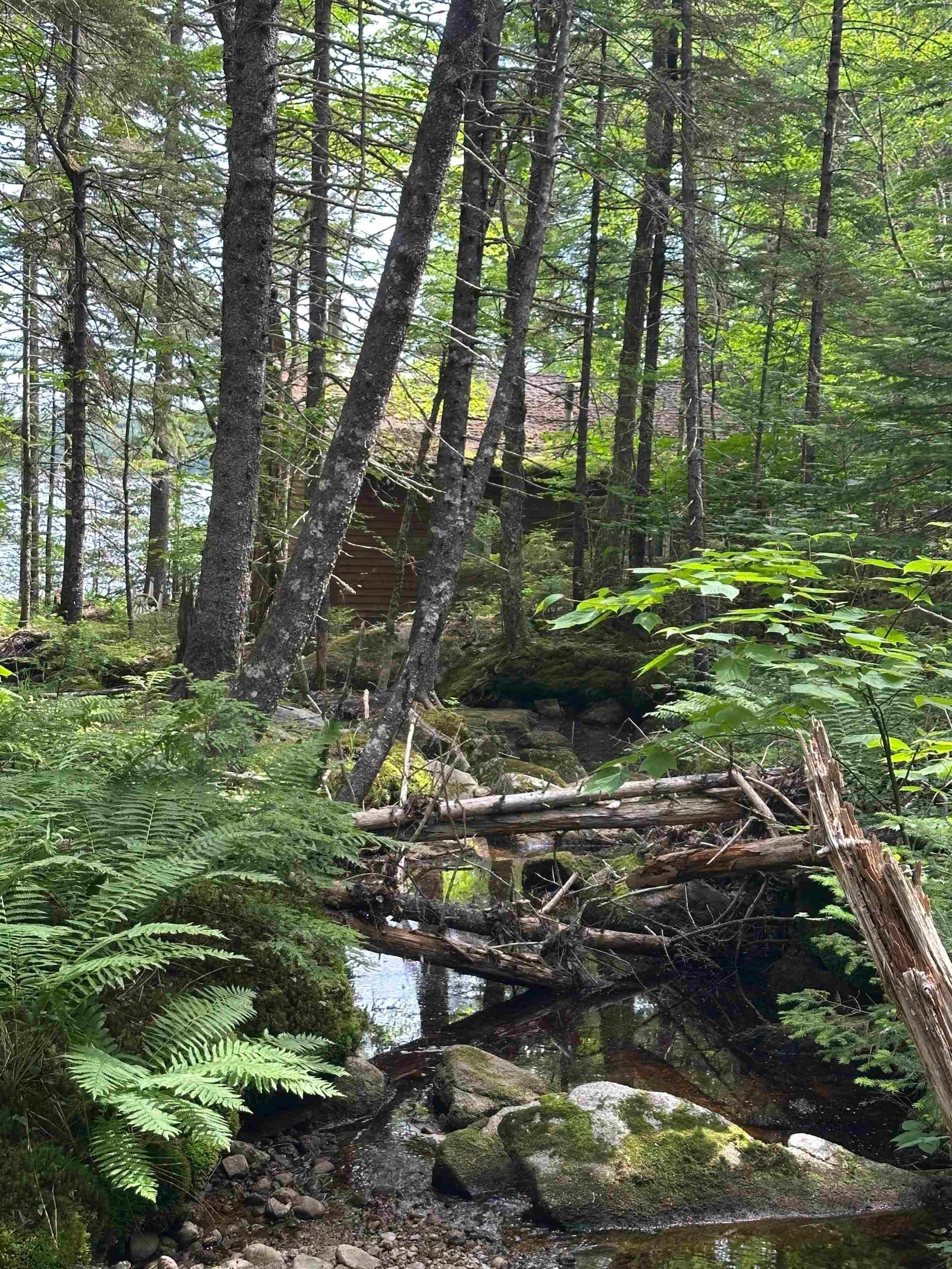 $173,390.00: Lot 1 Sherwood Road, Sherwood
