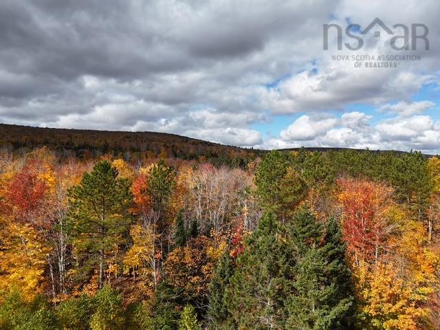 $39,000.00: West Middle River Road, West Middle River