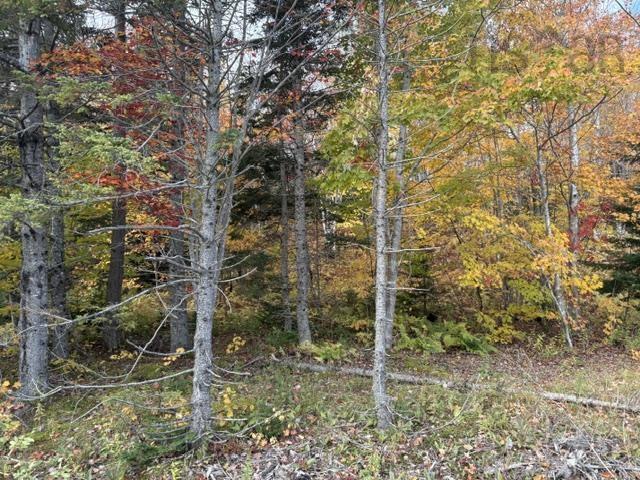 $39,000.00: West Middle River Road, West Middle River