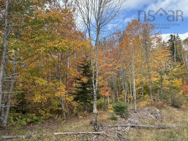 $39,000.00: West Middle River Road, West Middle River