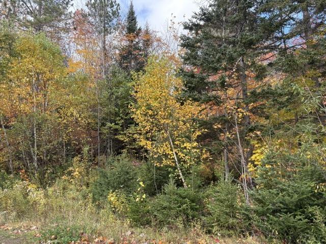 $39,000.00: West Middle River Road, West Middle River