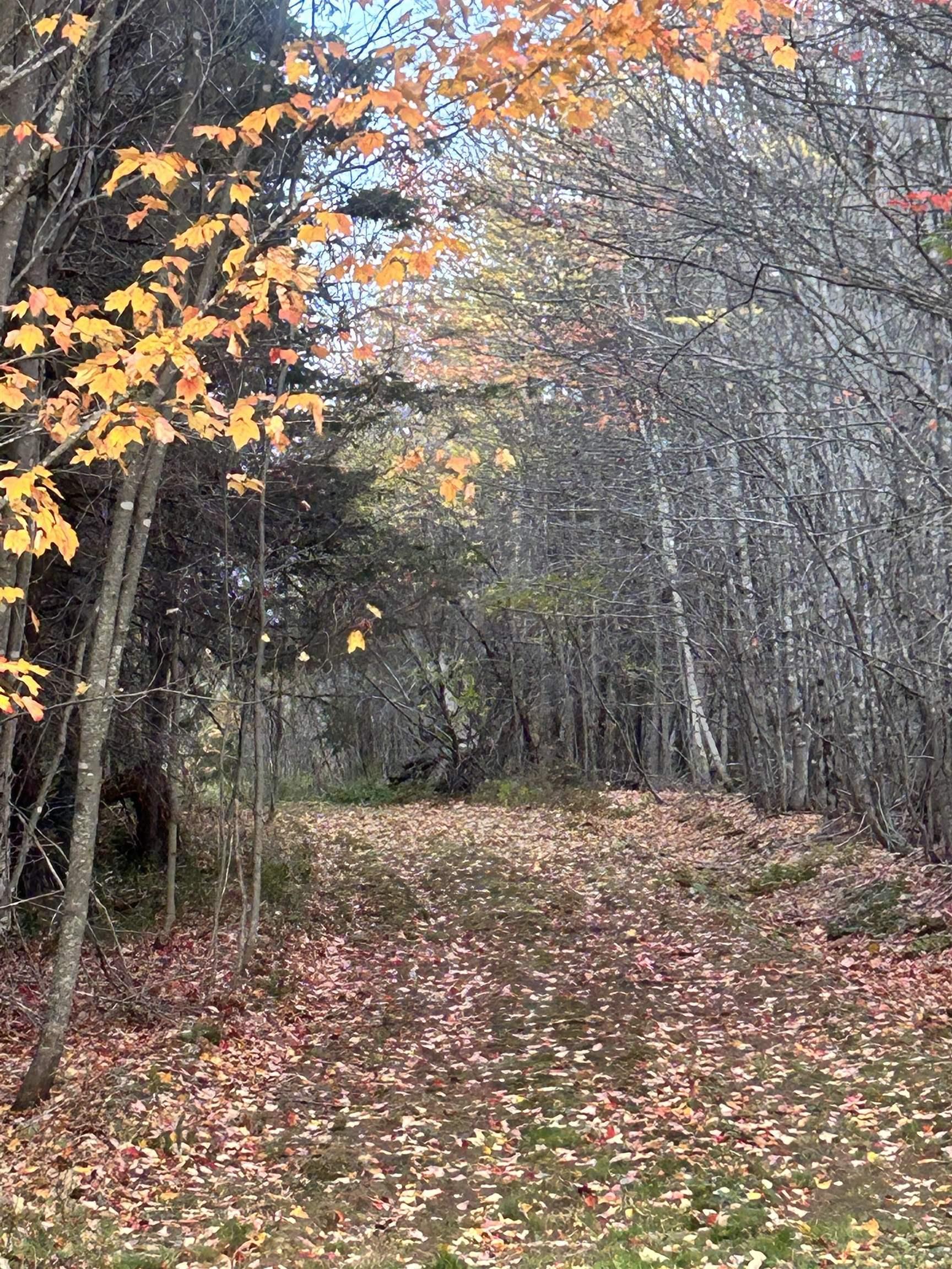 $159,900.00: Land Highway 307 Wentworth NS, Lower Wentworth