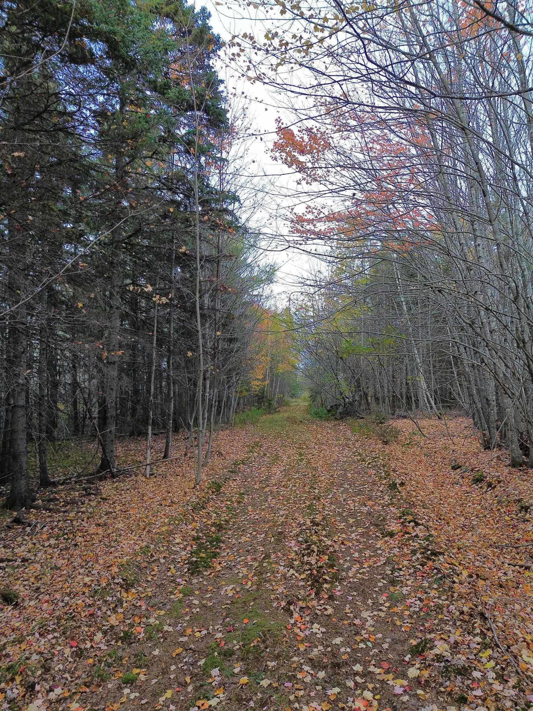 $159,900.00: Land Highway 307 Wentworth NS, Lower Wentworth