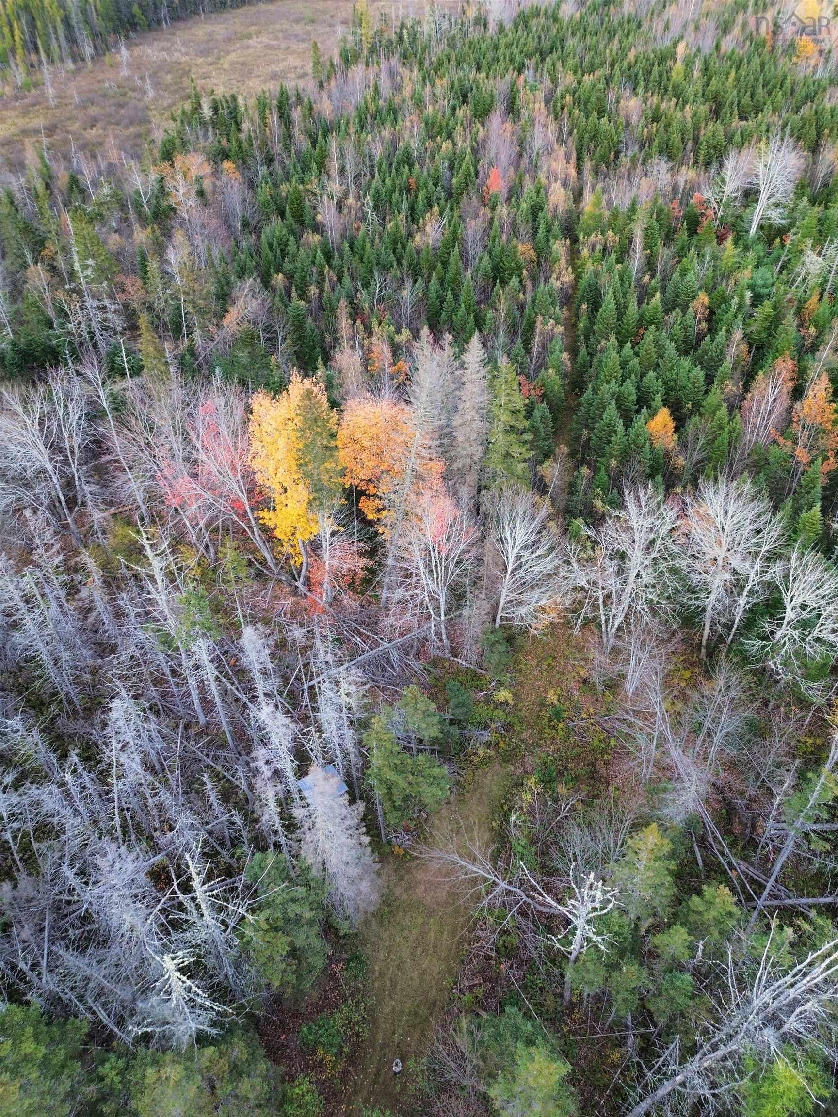 $159,900.00: Land Highway 307 Wentworth NS, Lower Wentworth