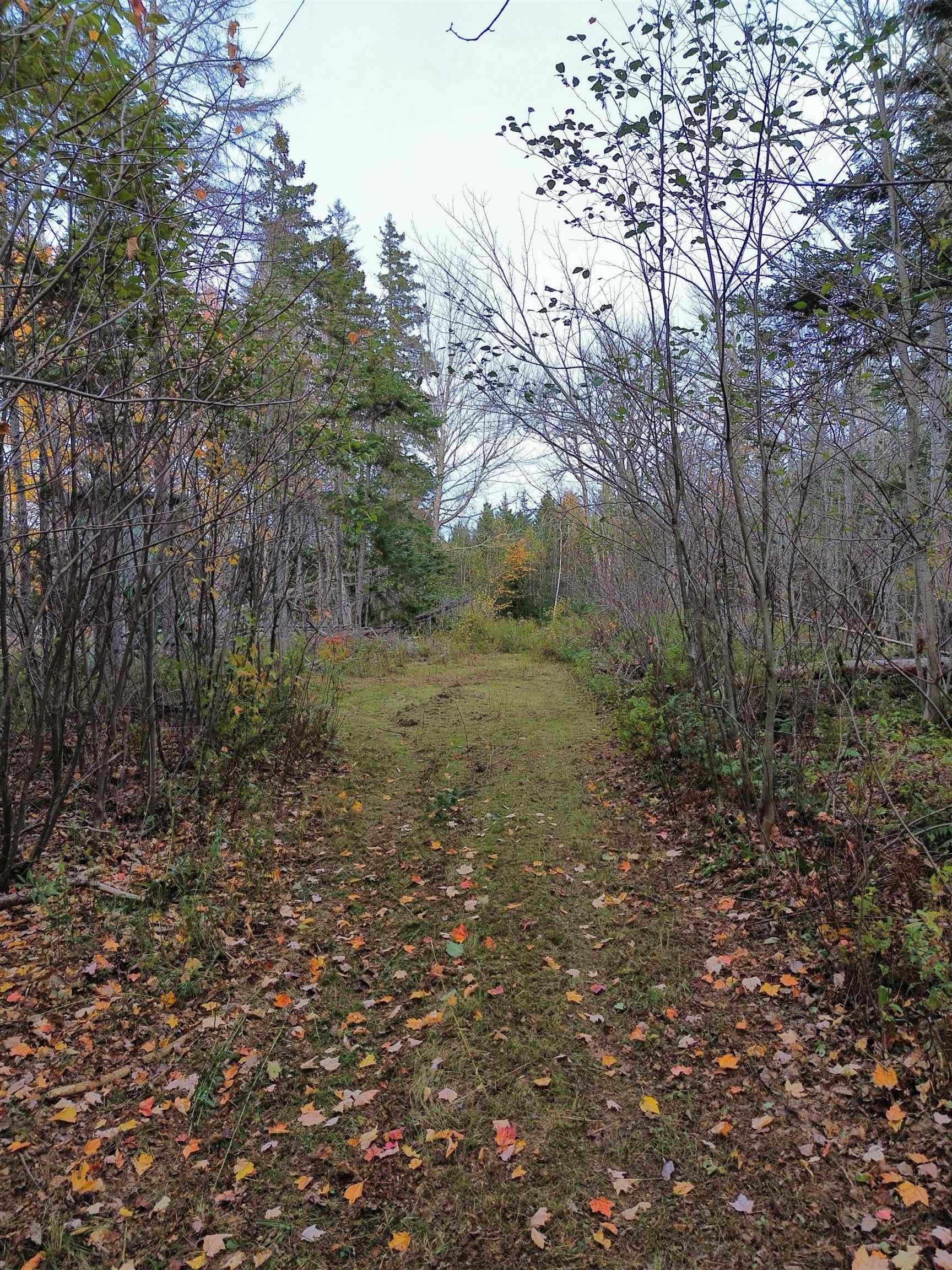 $159,900.00: Land Highway 307 Wentworth NS, Lower Wentworth