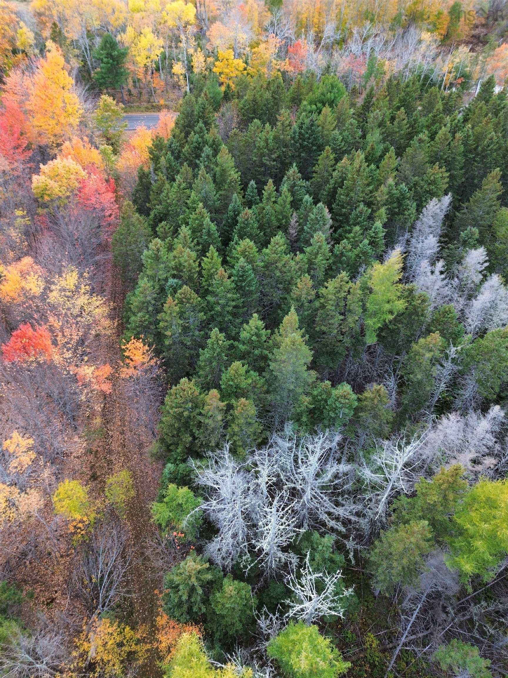 $159,900.00: Land Highway 307 Wentworth NS, Lower Wentworth