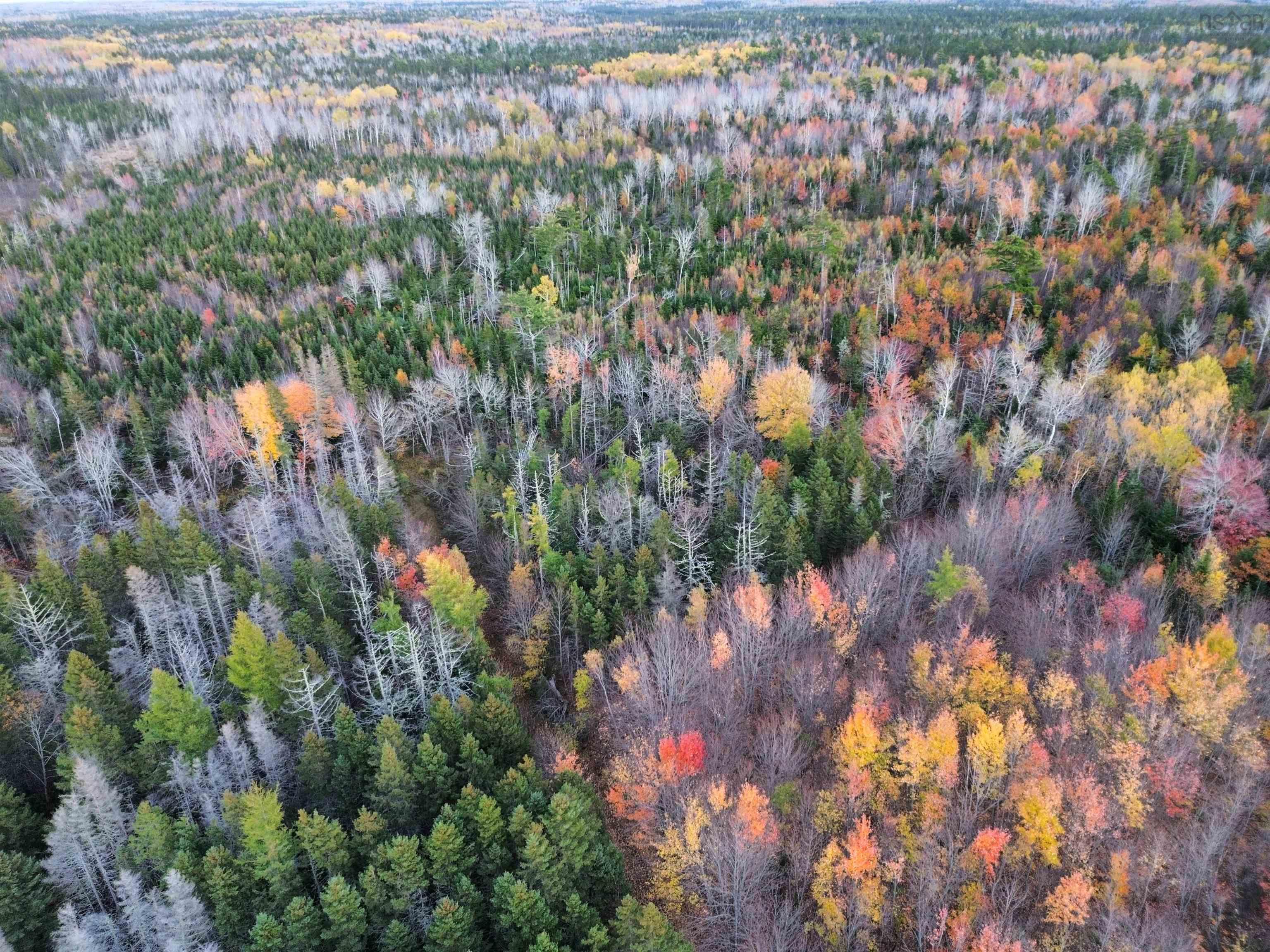$159,900.00: Land Highway 307 Wentworth NS, Lower Wentworth