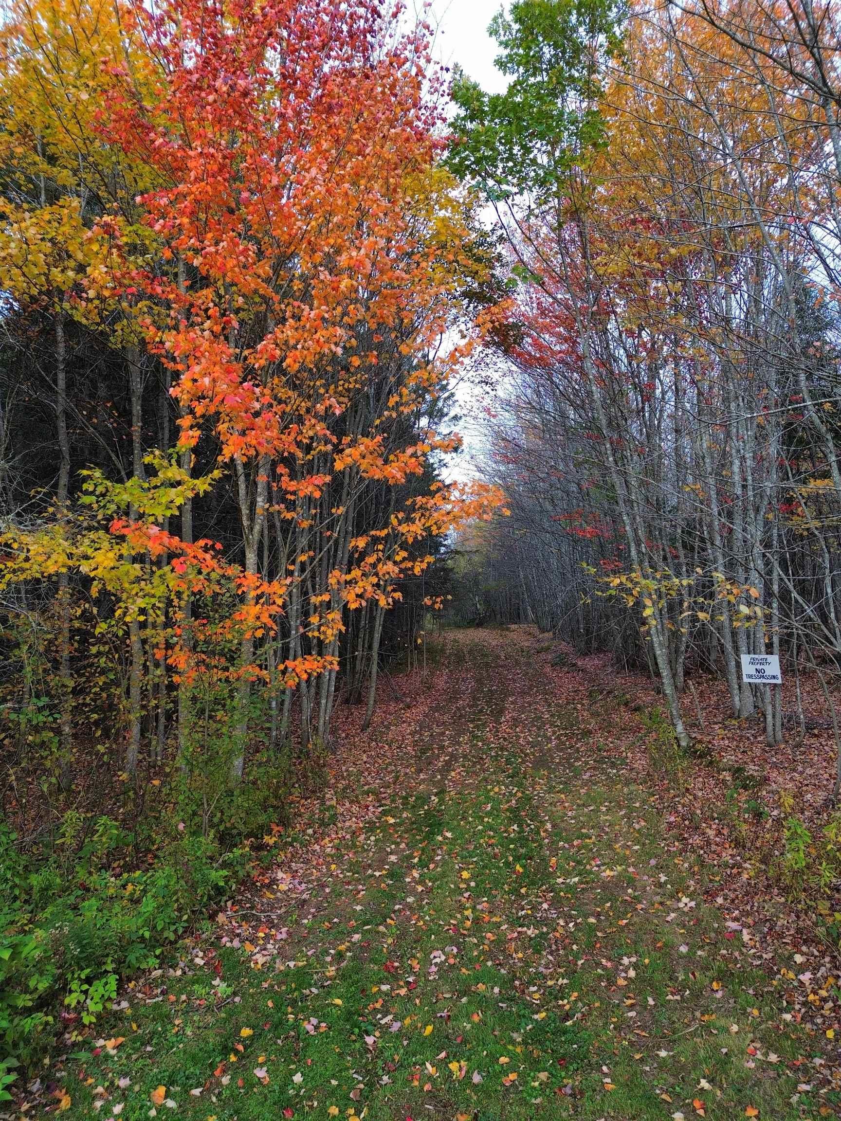 $159,900.00: Land Highway 307 Wentworth NS, Lower Wentworth