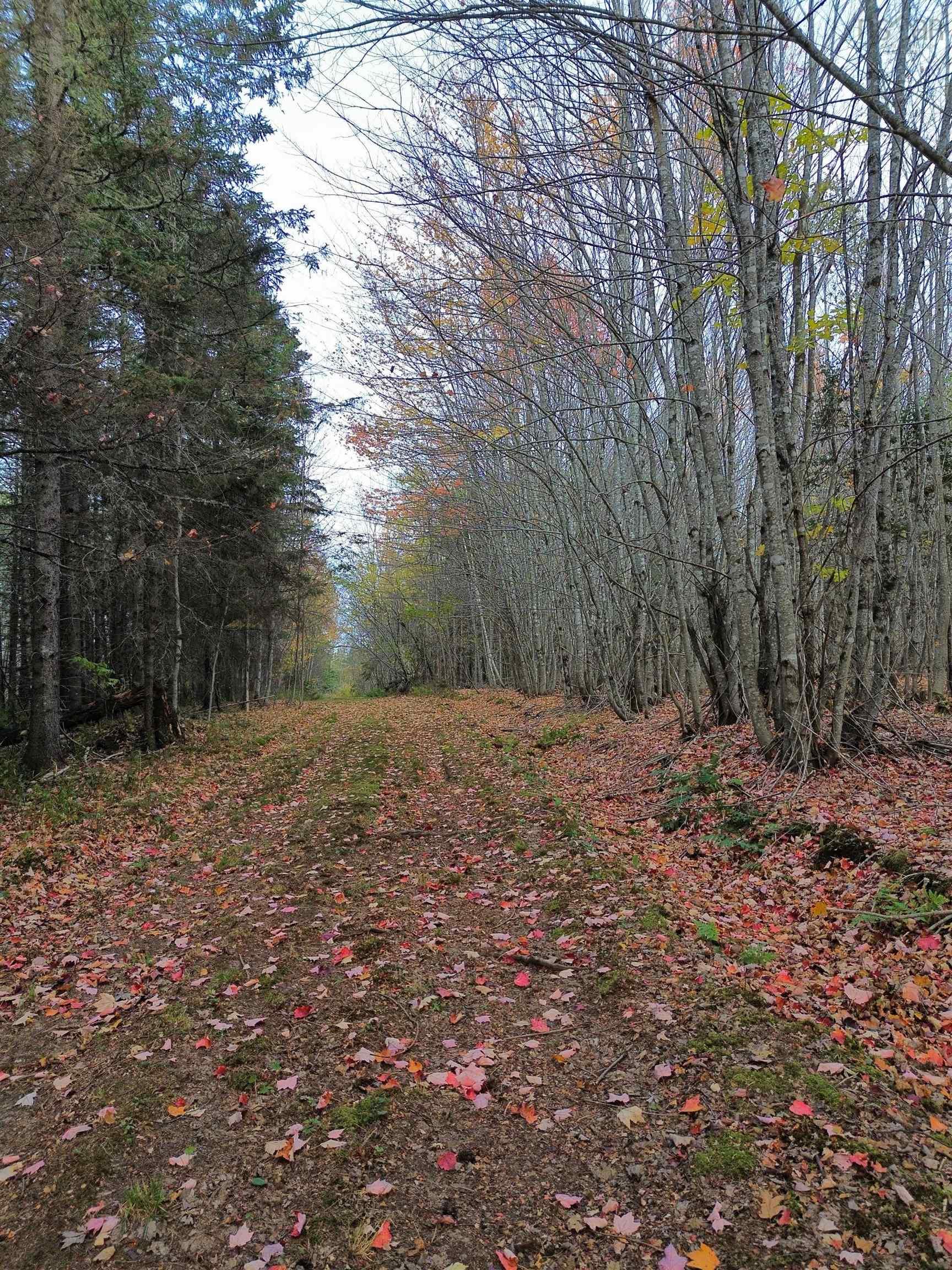 $159,900.00: Land Highway 307 Wentworth NS, Lower Wentworth