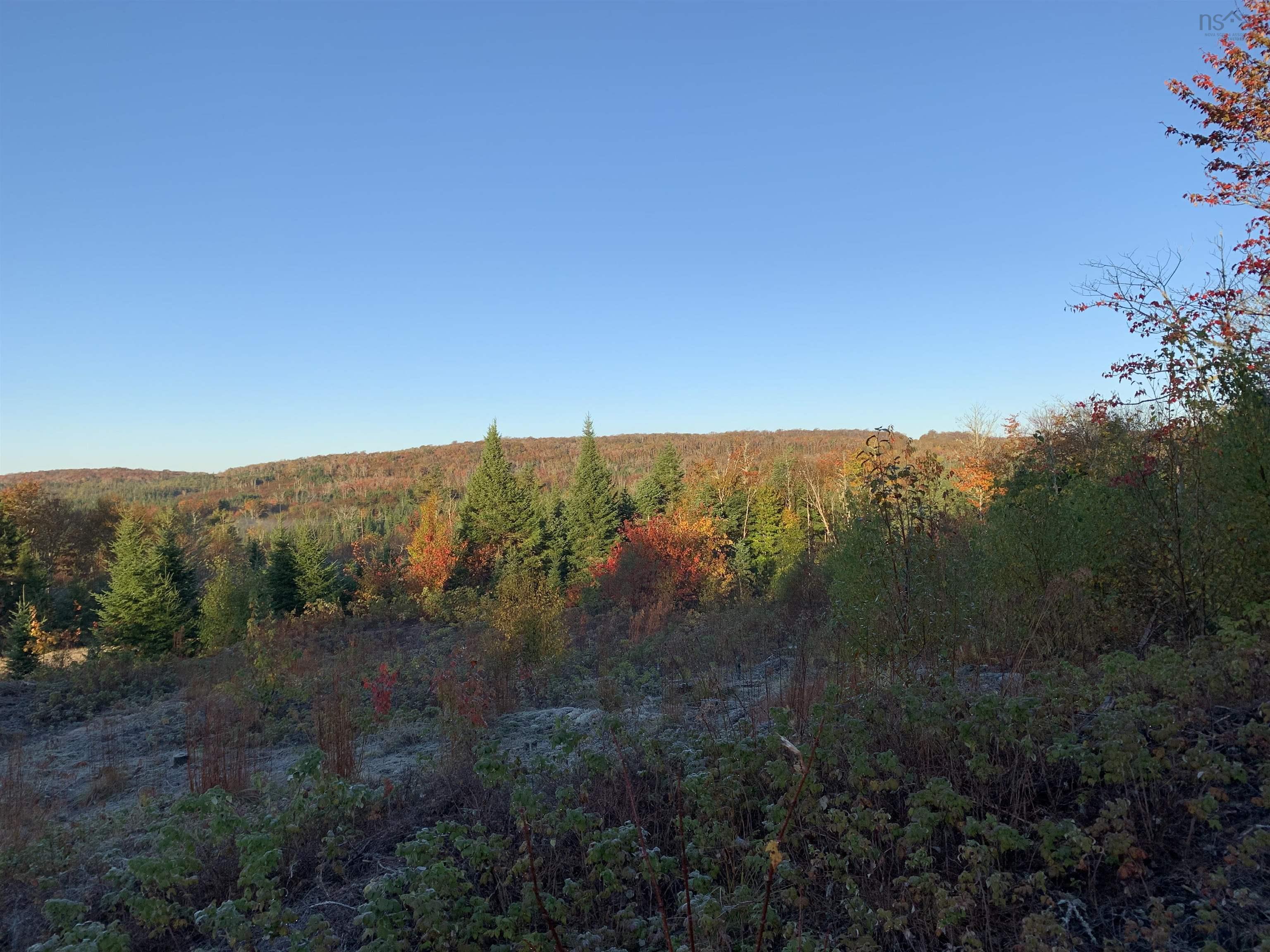 $55,000.00: Block 7 No 316 Highway, Country Harbour