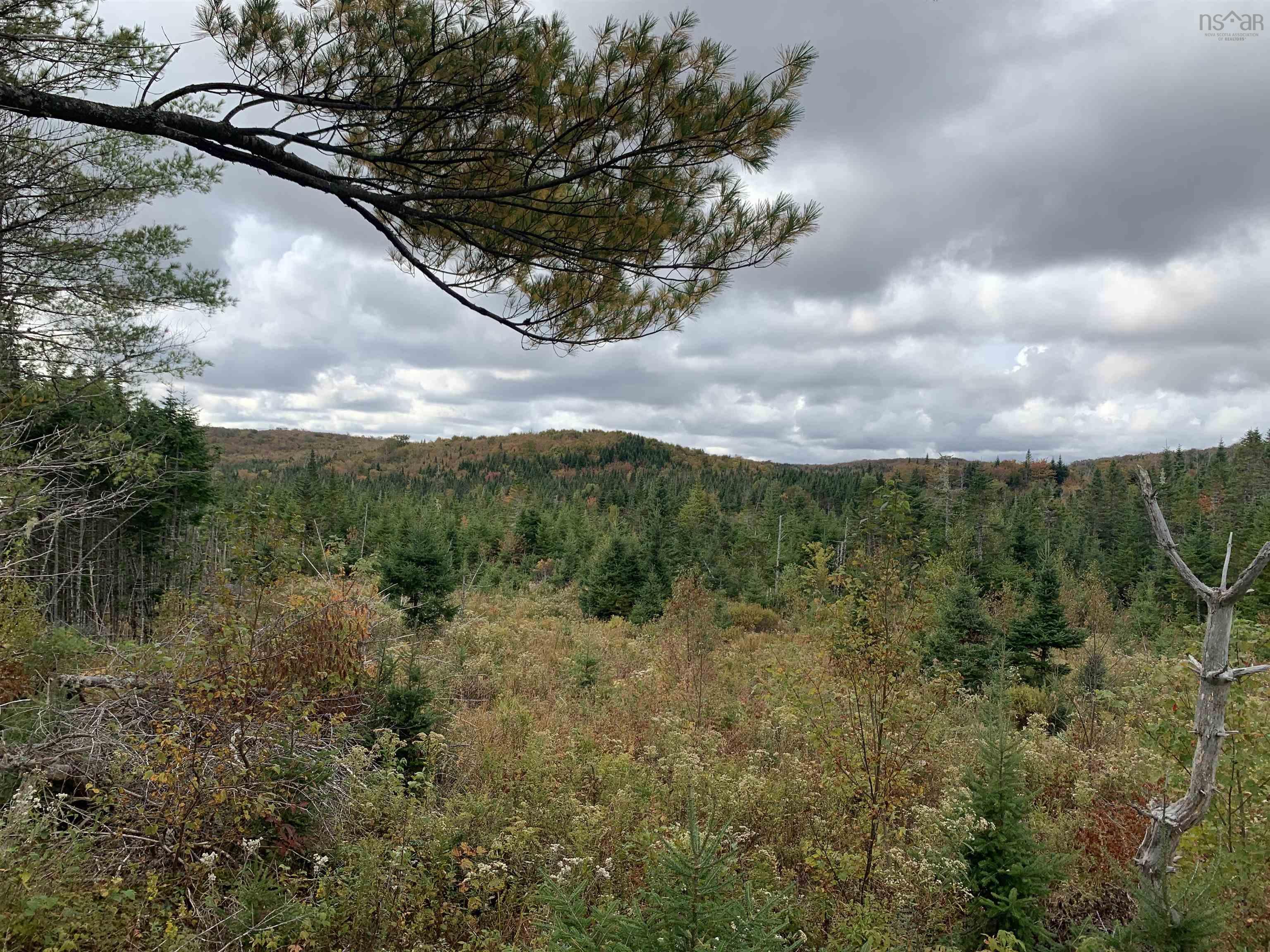 $55,000.00: Block 7 No 316 Highway, Country Harbour