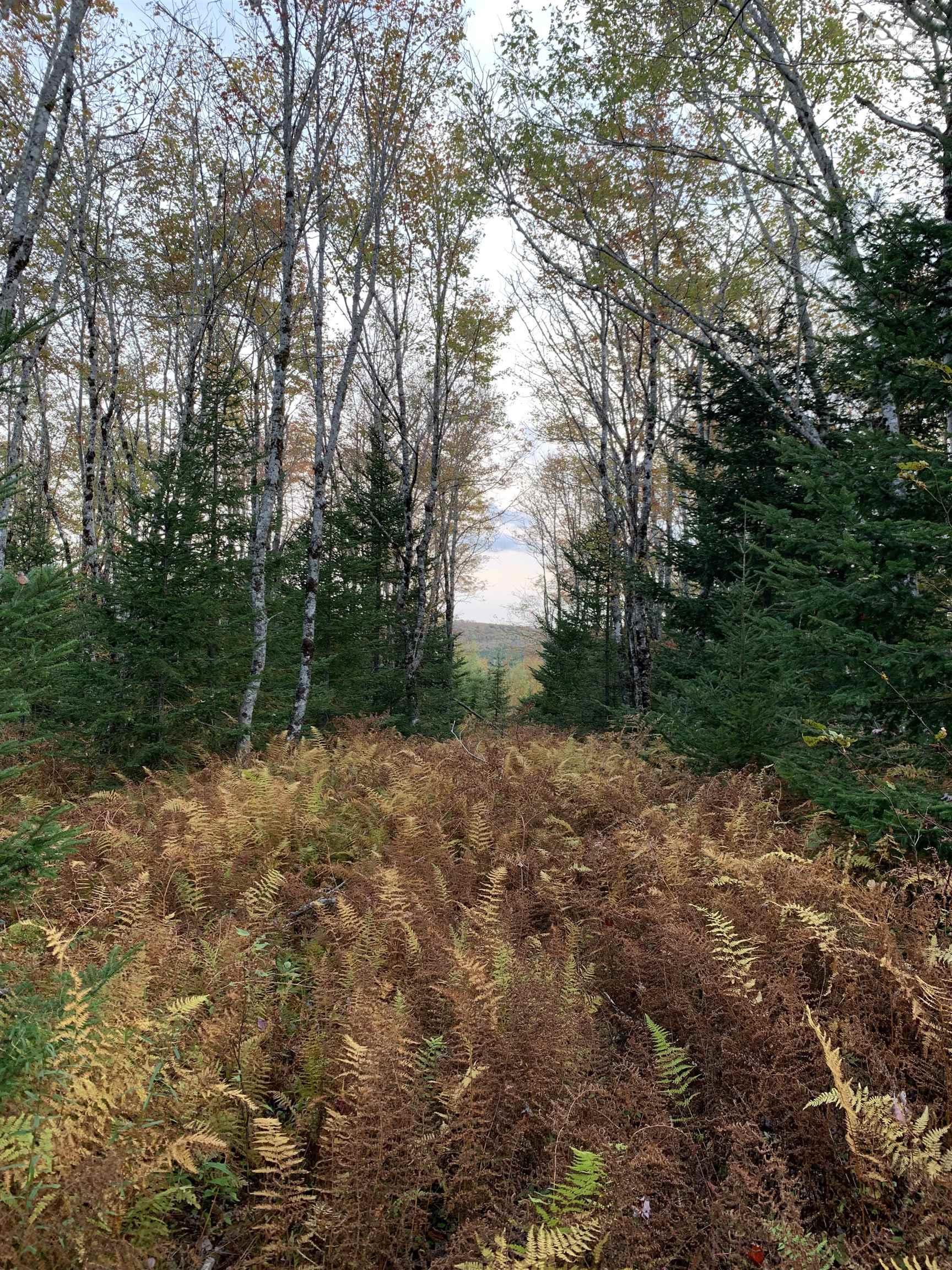 $55,000.00: Block 7 No 316 Highway, Country Harbour