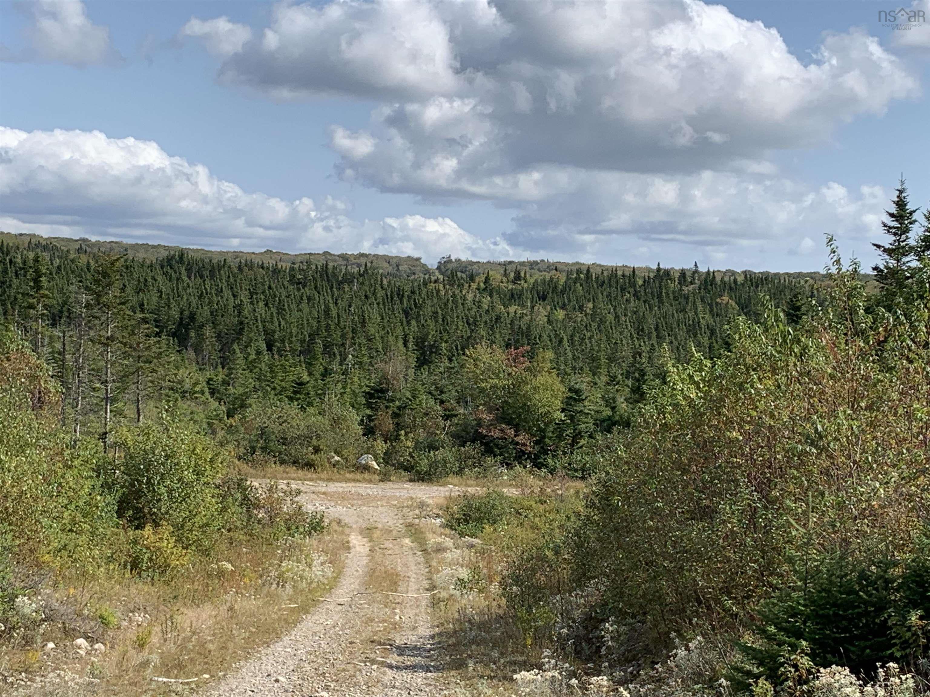 $55,000.00: Block 7 No 316 Highway, Country Harbour