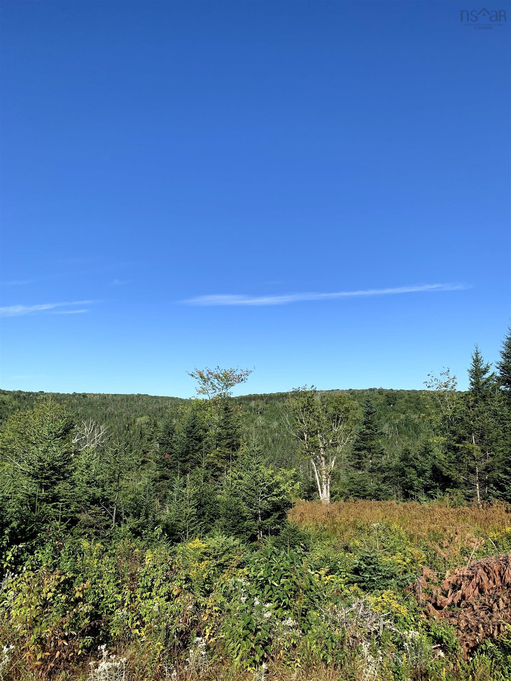 $55,000.00: Block 7 No 316 Highway, Country Harbour