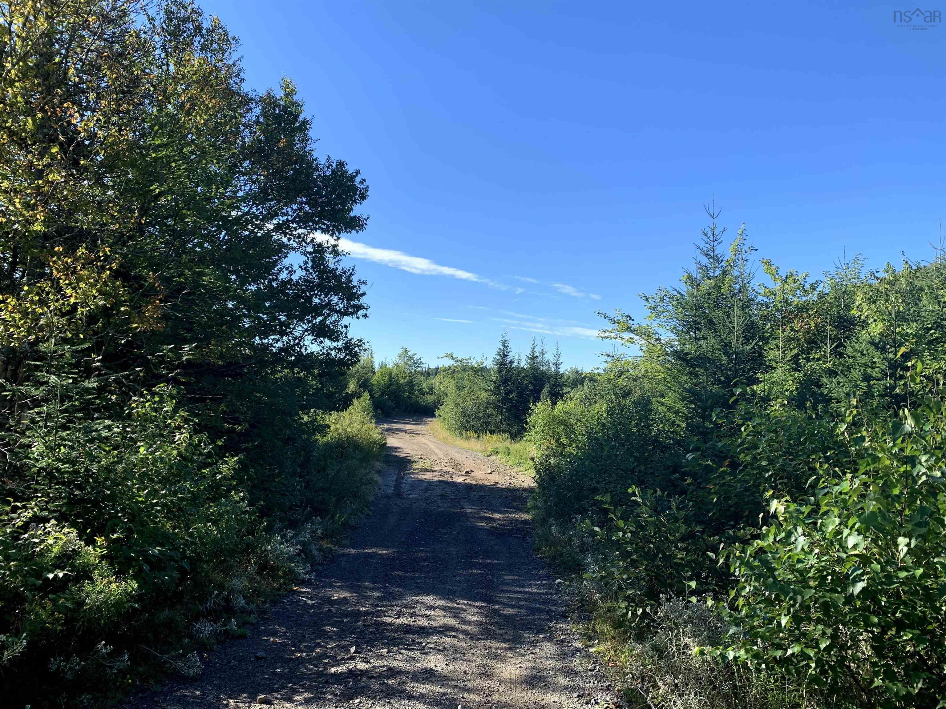 $55,000.00: Block 7 No 316 Highway, Country Harbour