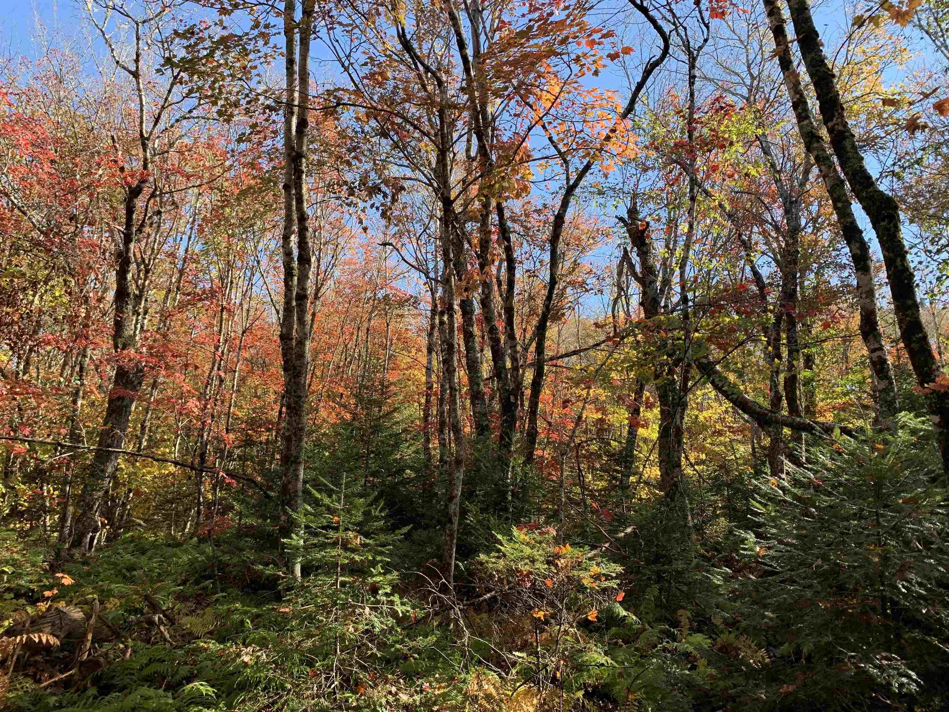 $55,000.00: Block 7 No 316 Highway, Country Harbour