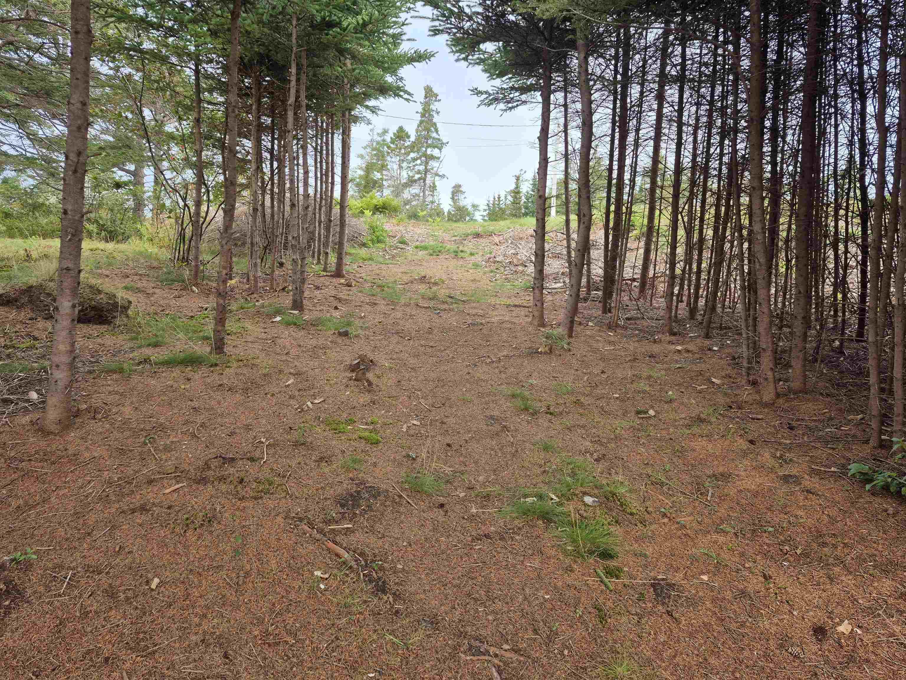$194,900.00: 4639 Highway 7, Spanish Ship Bay