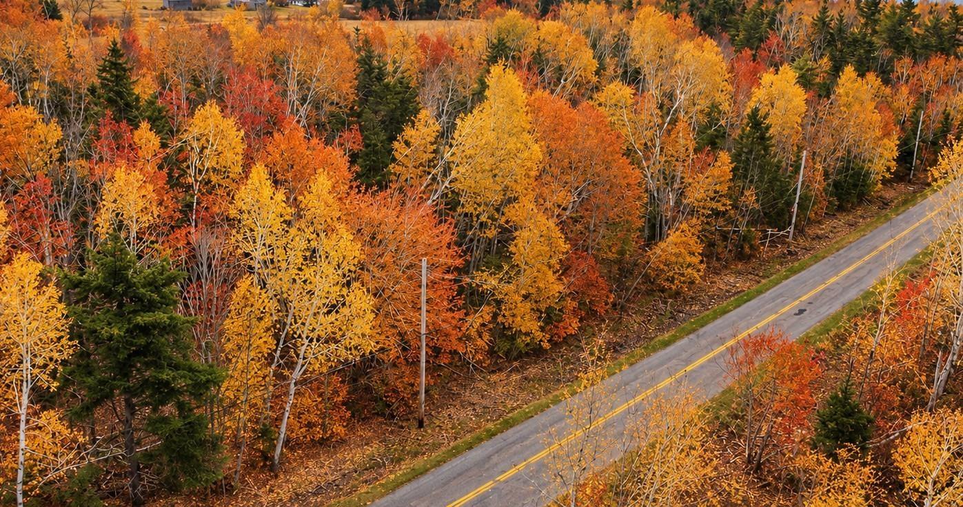 Lot 2-25 Blue Sea Road, Malagash, NS (MLS 202626402)