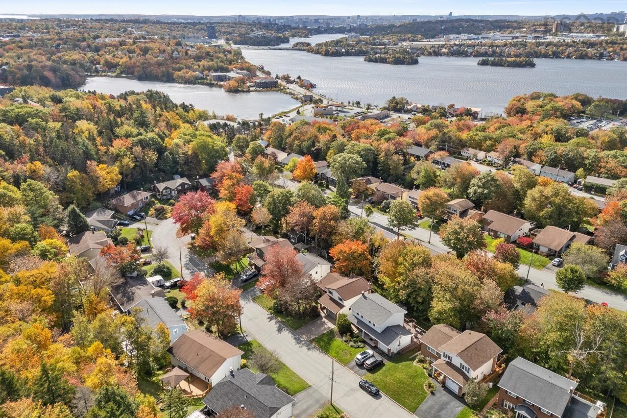 24 Rossi Drive, Dartmouth, NS (MLS® 202626410) — Aerial perspective of a residential neighborhood featuring mature canopy trees, paved streets, and expansive water frontage