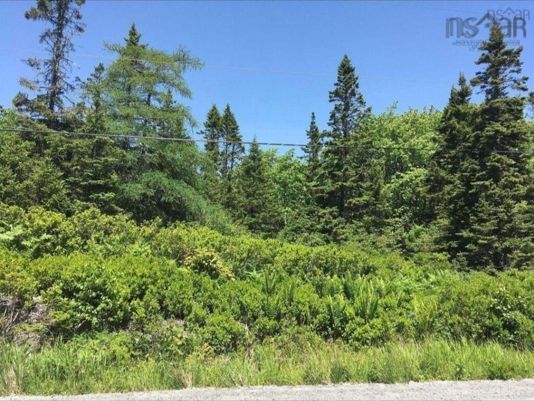 $21,000.00: nil Red Head Road, Ingomar